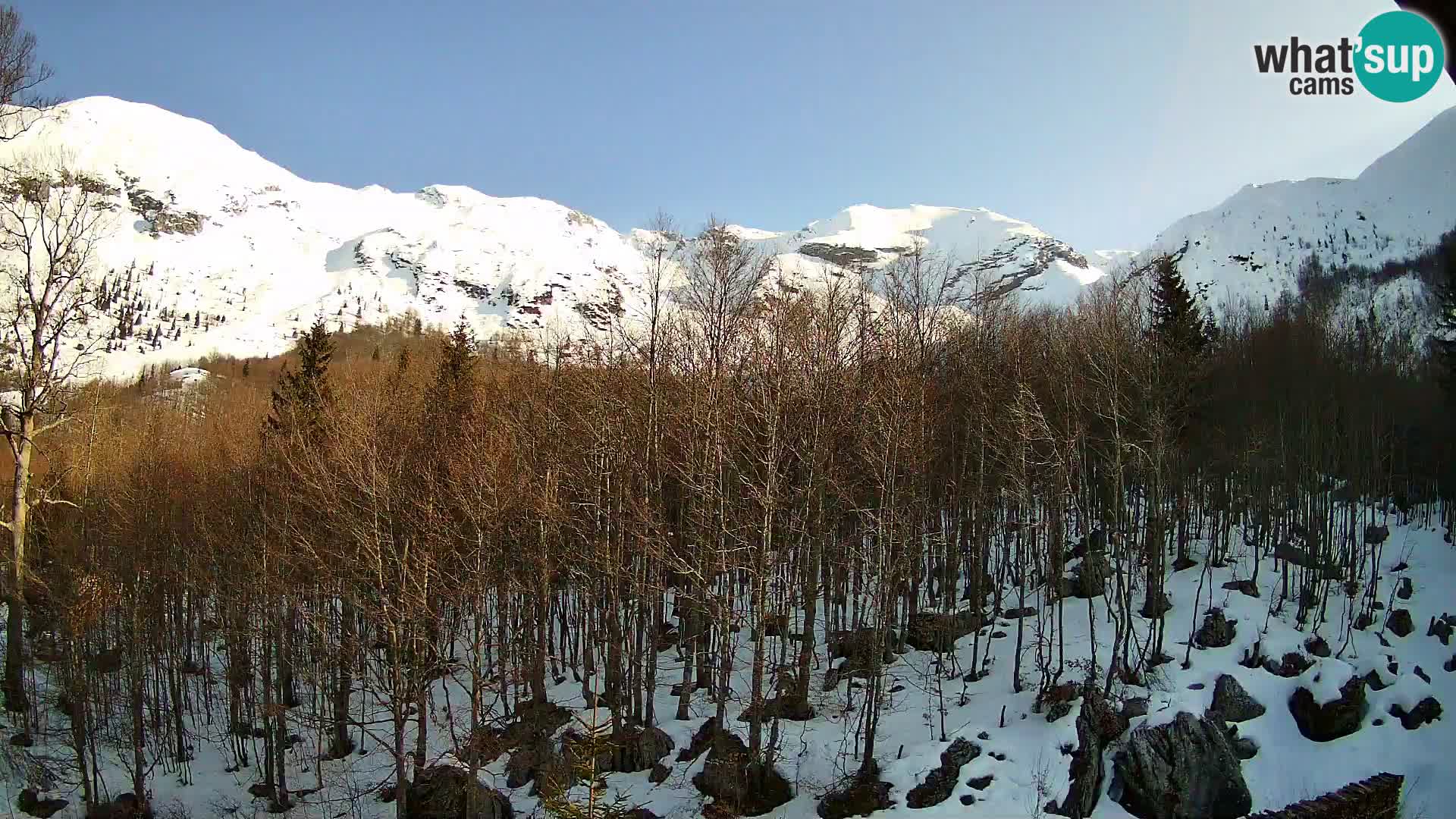 PLANINA RAZOR webcam (1315) | view to Vogel and Globoko