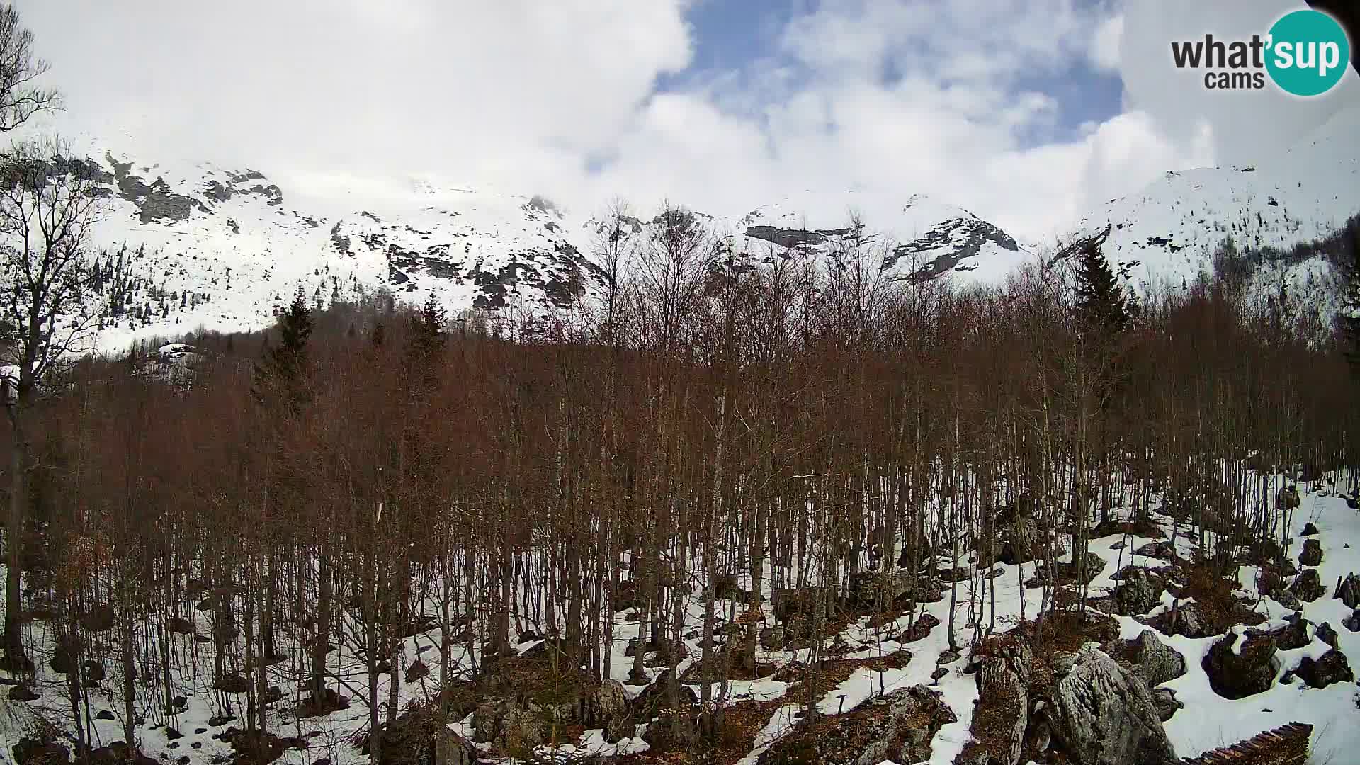 PLANINA RAZOR webcam (1315) | view to Vogel and Globoko