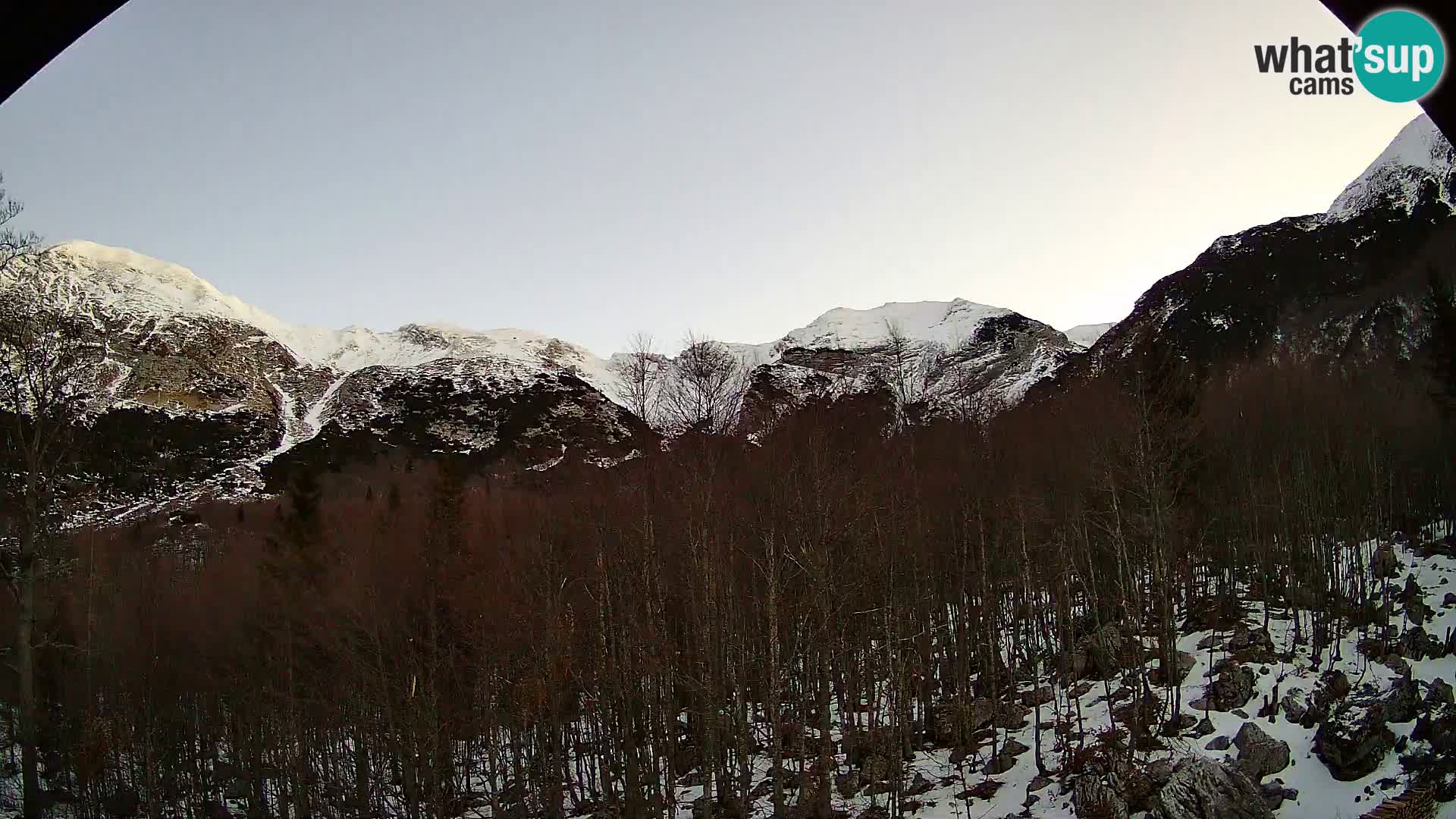 Livecam PLANINA RAZOR (1315) | vue sur Vogel et Globoko