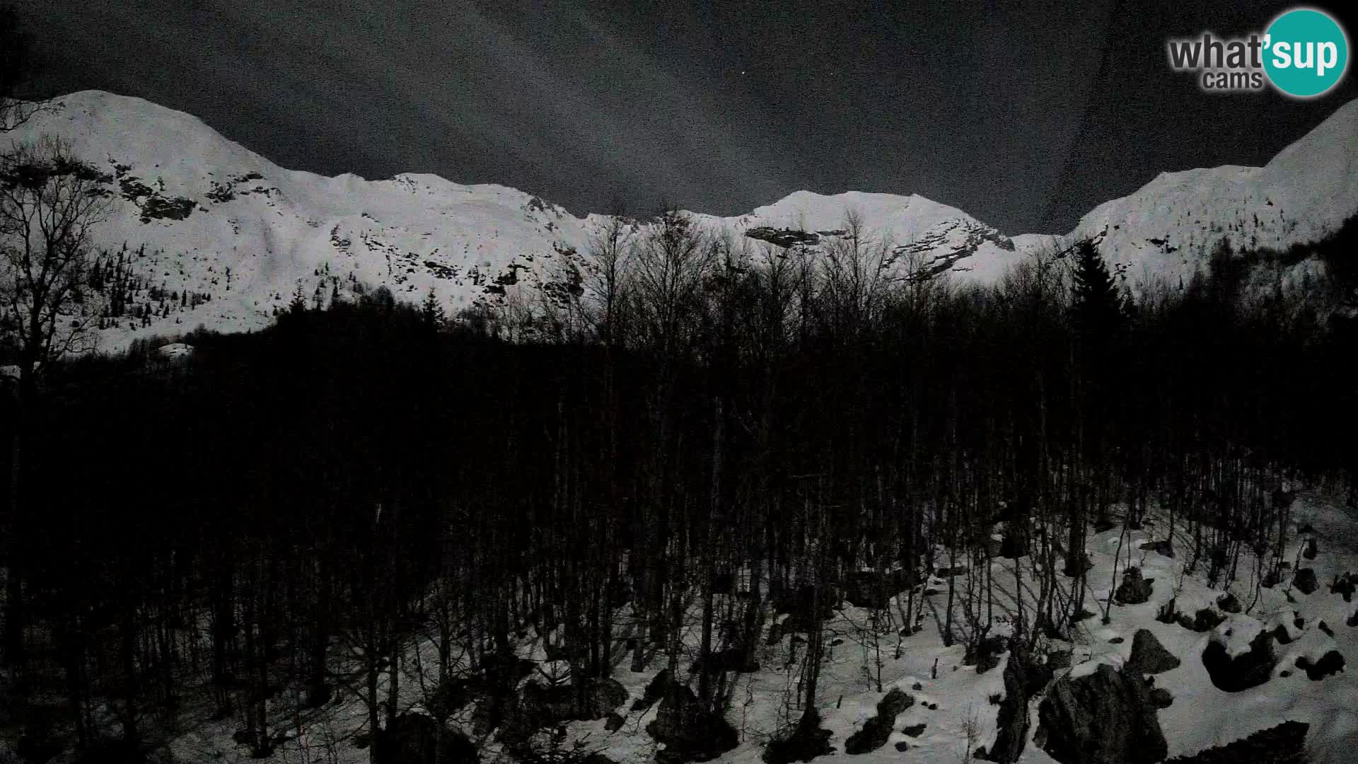 PLANINA RAZOR kamera (1315) | pogled na Vogel in Globoko