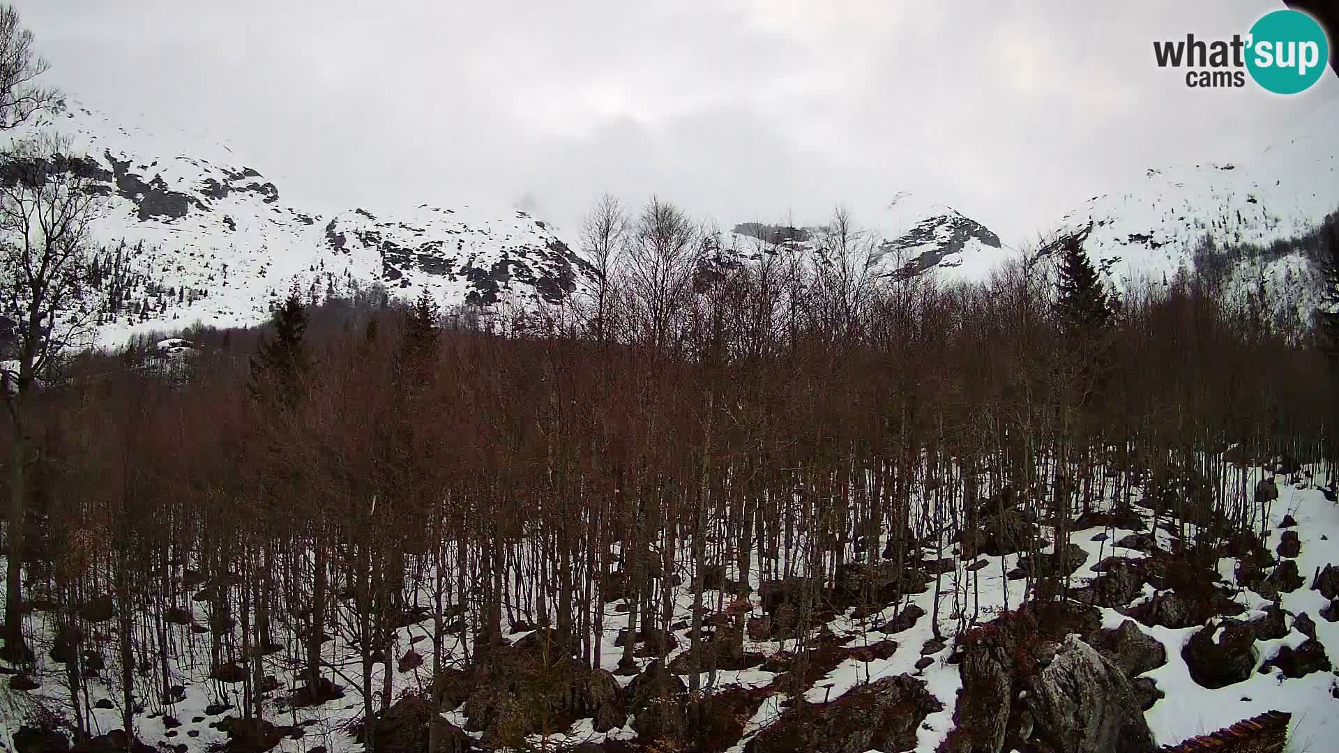 PLANINA RAZOR Live Cam (1315) | vista su Vogel e Globoko