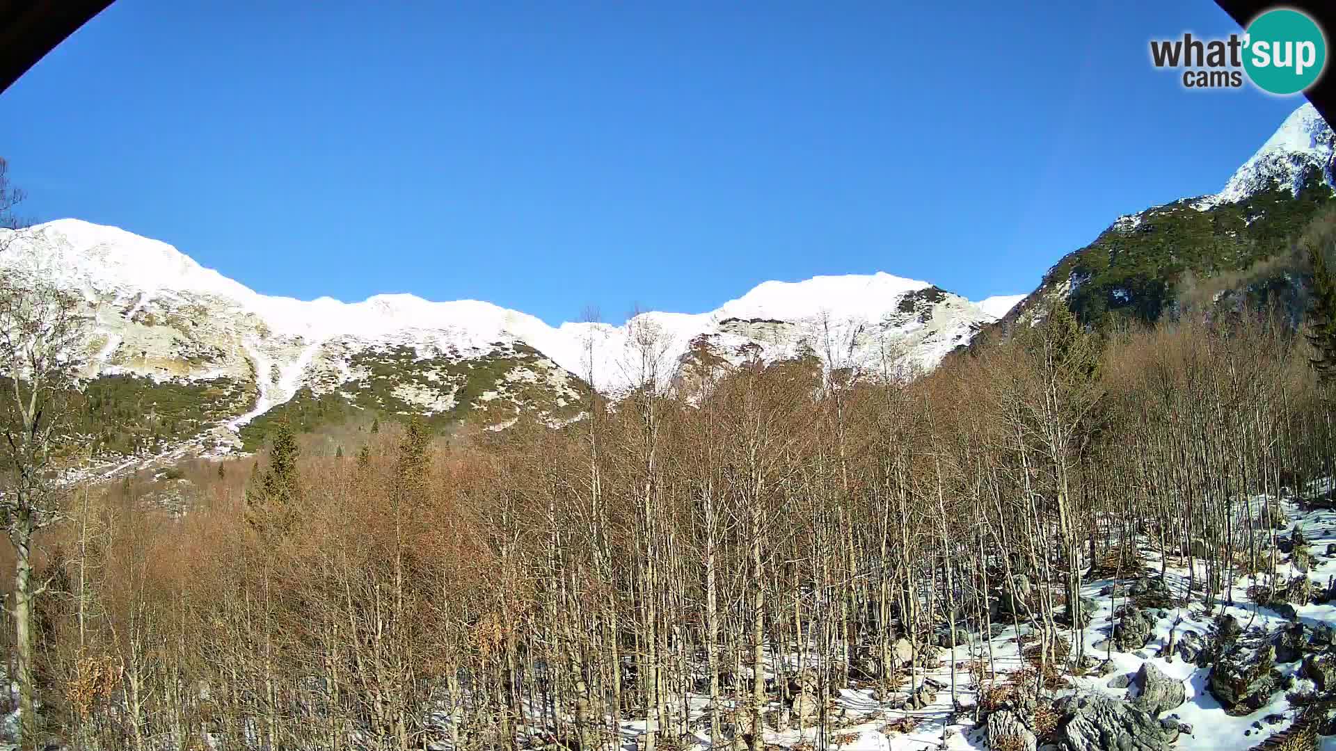 PLANINA RAZOR web kamera (1315) | pogled na Vogel i Globoko
