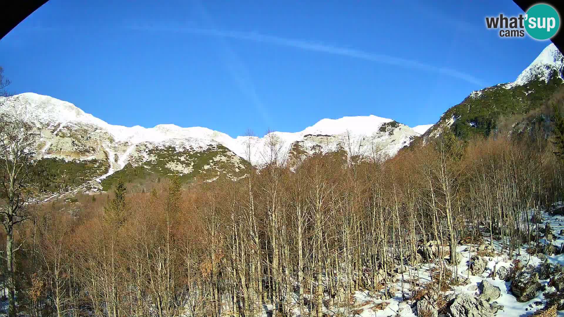 PLANINA RAZOR Live Cam (1315) | vista su Vogel e Globoko