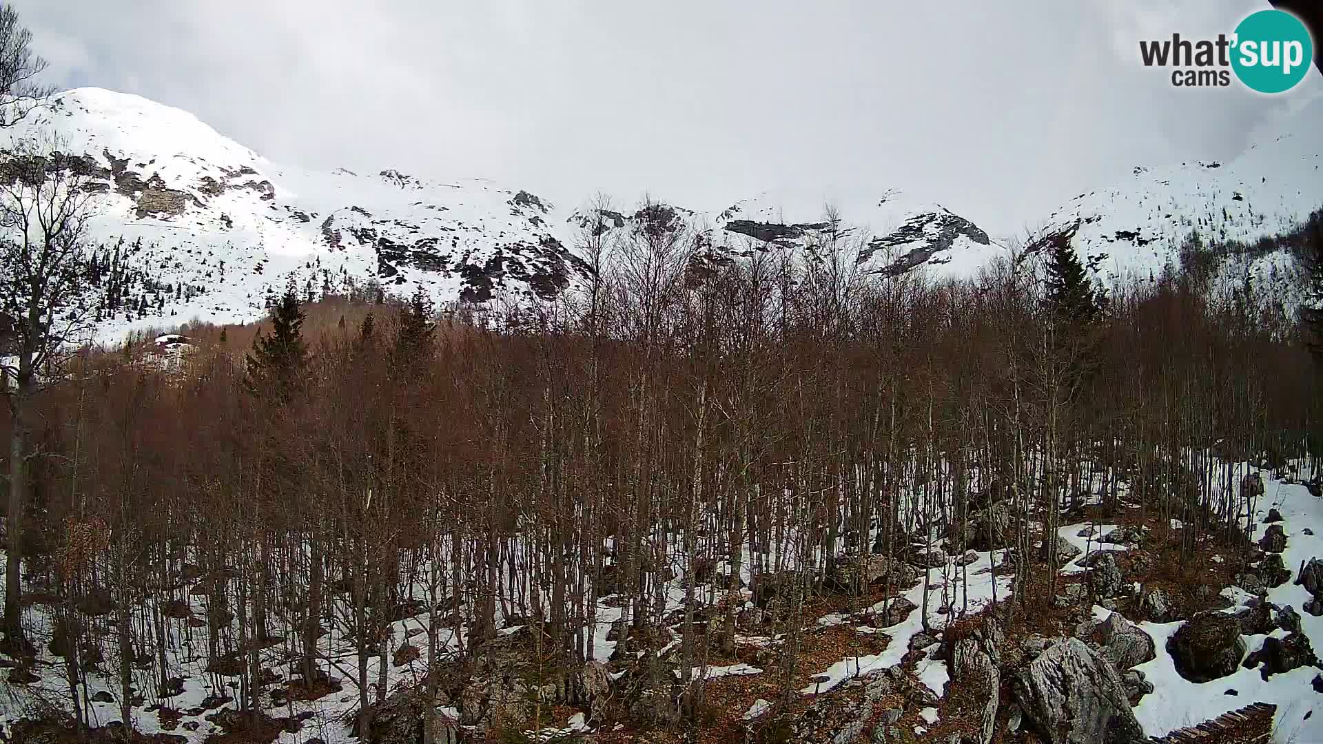 Webcam PLANINA RAZOR (1315) | Blick auf Vogel und Globoko