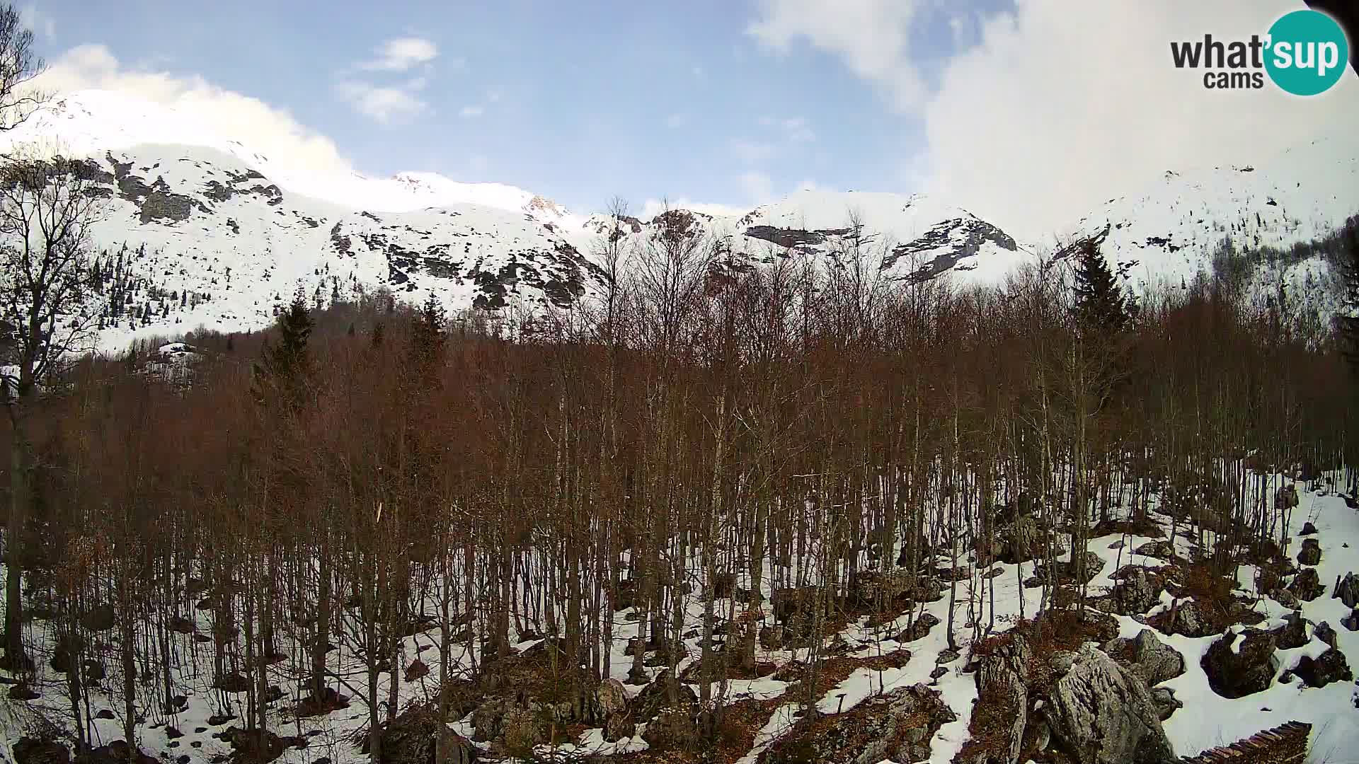 PLANINA RAZOR web kamera (1315) | pogled na Vogel i Globoko