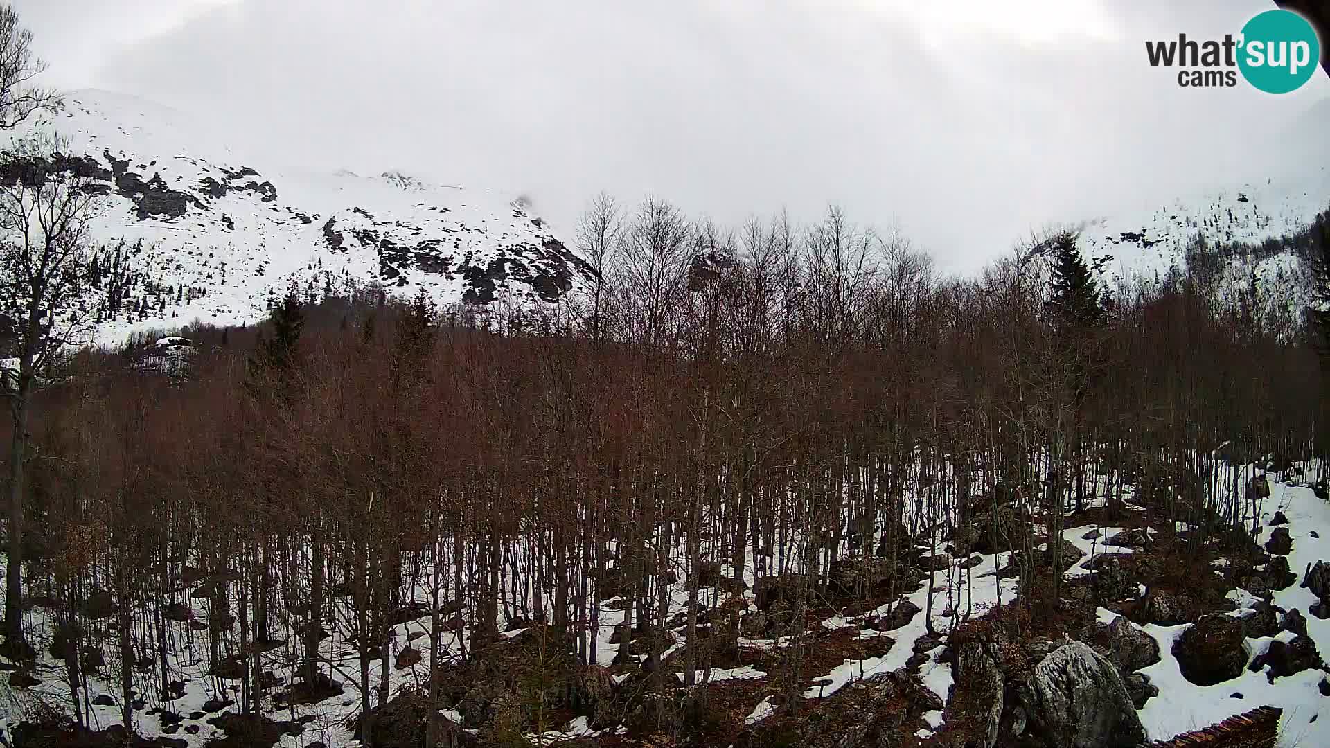 PLANINA RAZOR Live Cam (1315) | vista su Vogel e Globoko