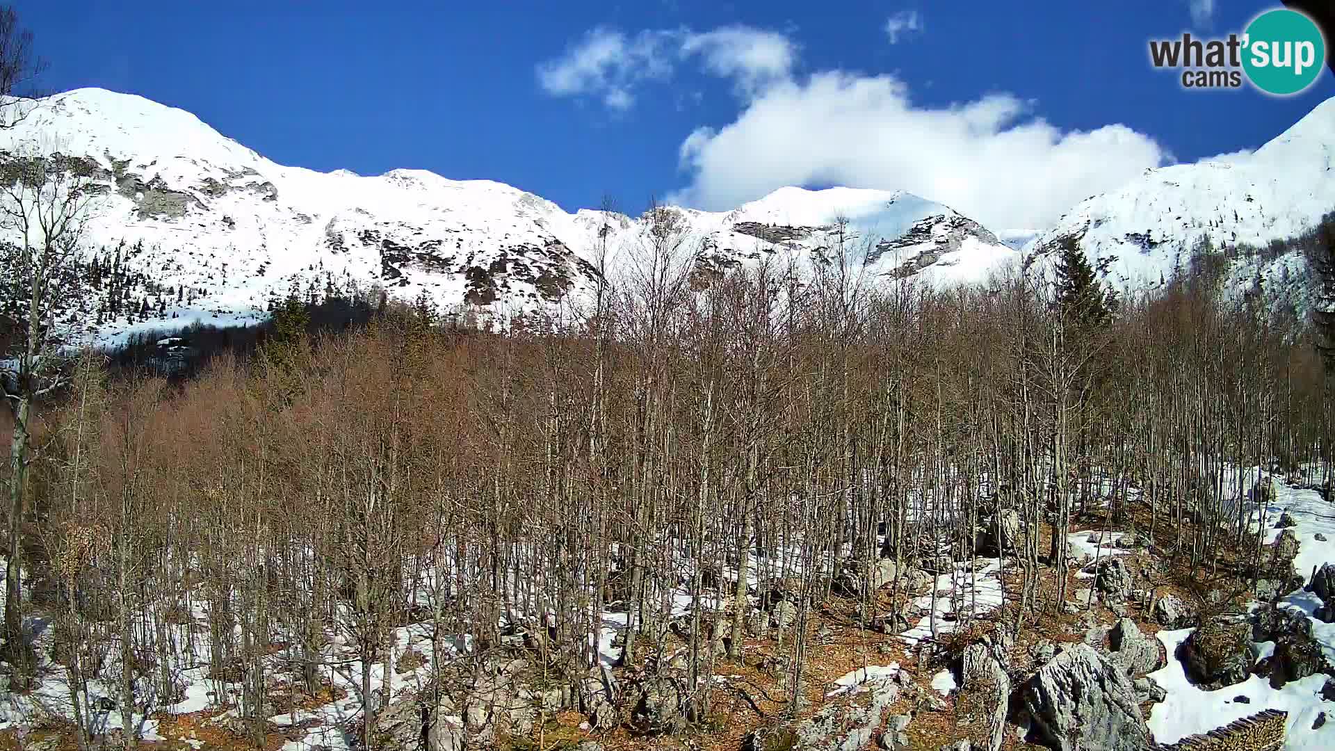 PLANINA RAZOR kamera (1315) | pogled na Vogel in Globoko
