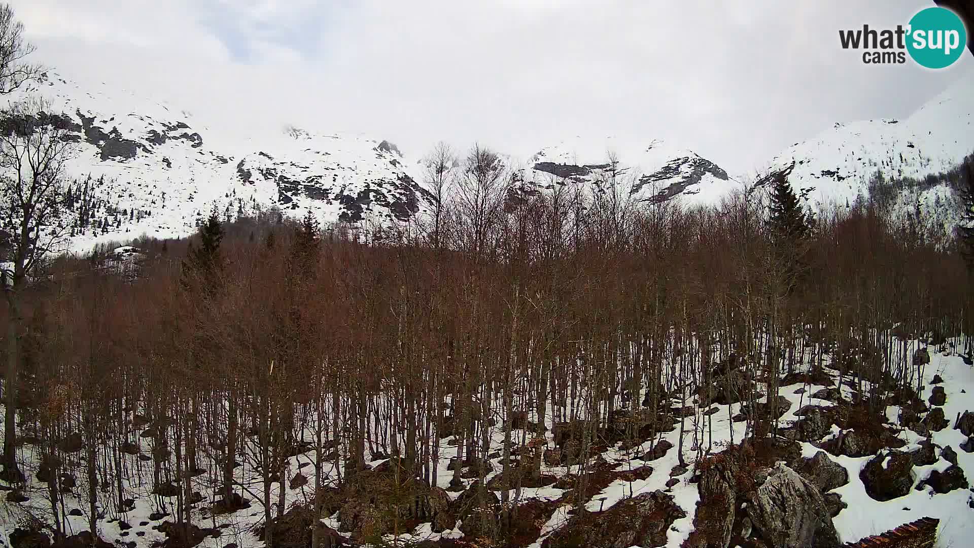PLANINA RAZOR web kamera (1315) | pogled na Vogel i Globoko