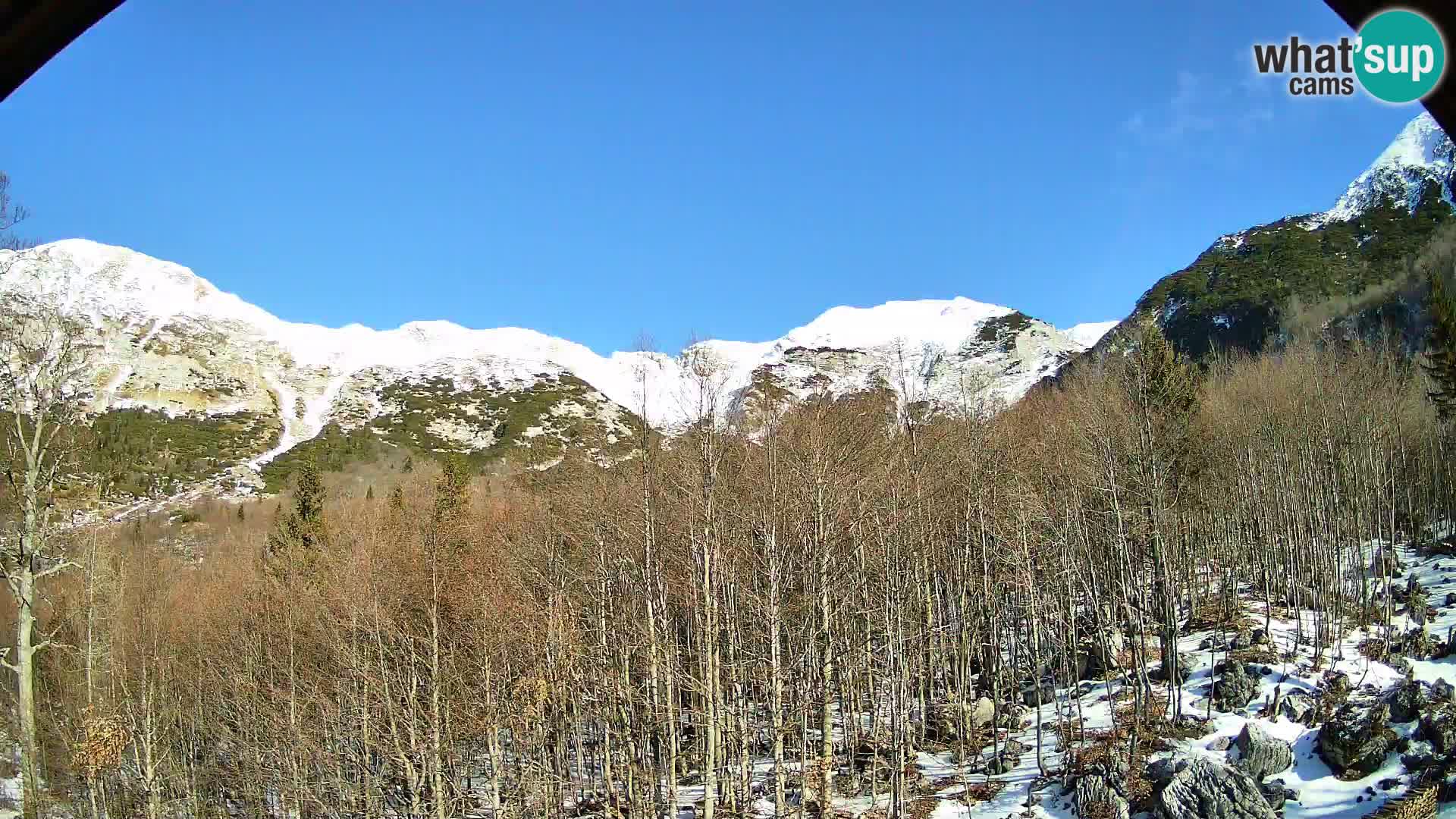 PLANINA RAZOR webcam (1315) | view to Vogel and Globoko