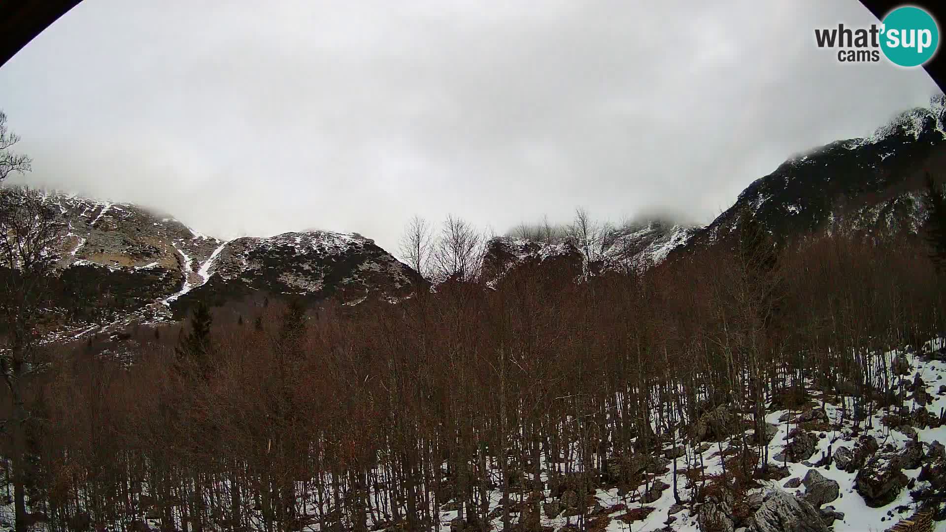 PLANINA RAZOR web kamera (1315) | pogled na Vogel i Globoko