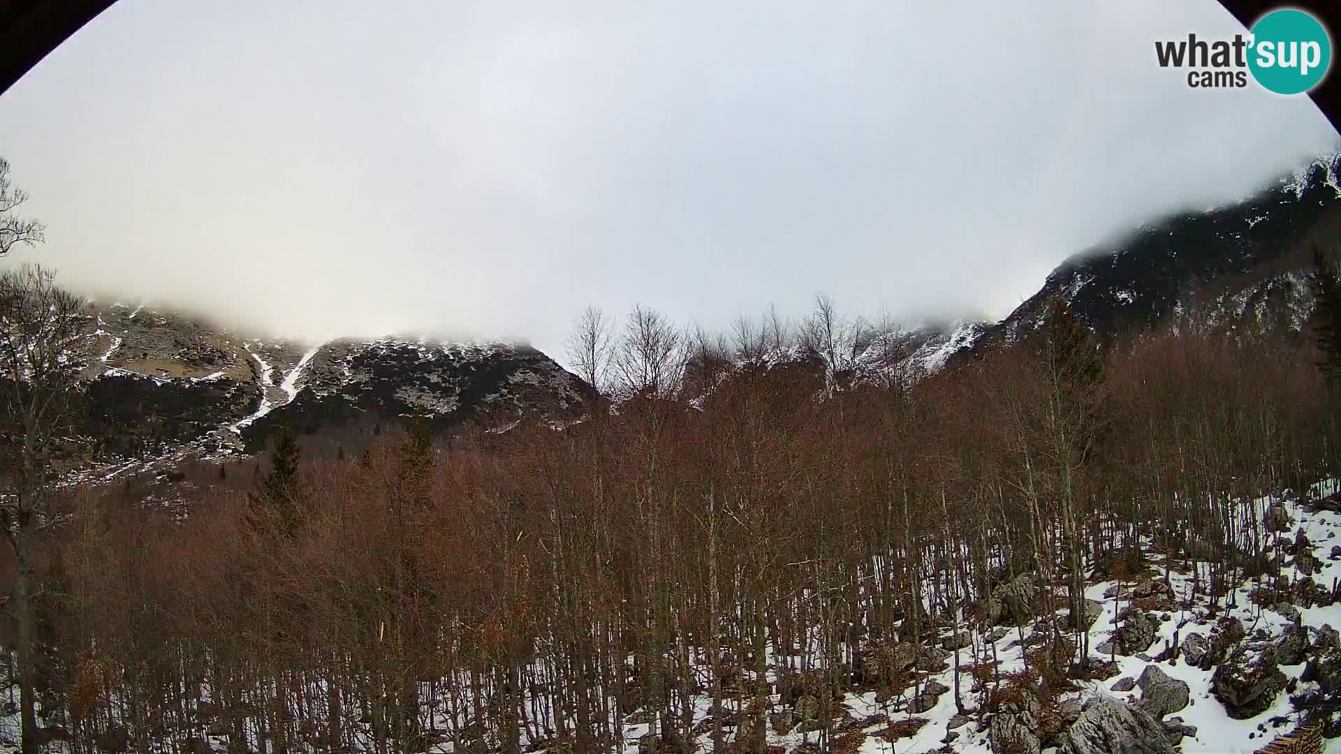 PLANINA RAZOR Live Cam (1315) | vista su Vogel e Globoko
