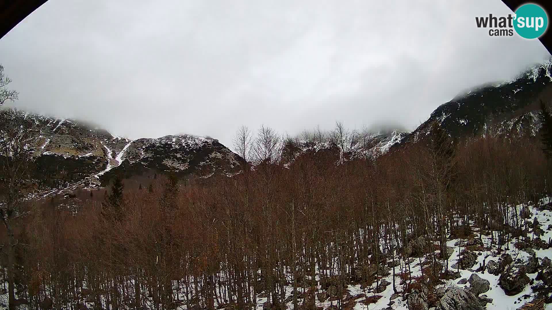 Webcam PLANINA RAZOR (1315) | Blick auf Vogel und Globoko