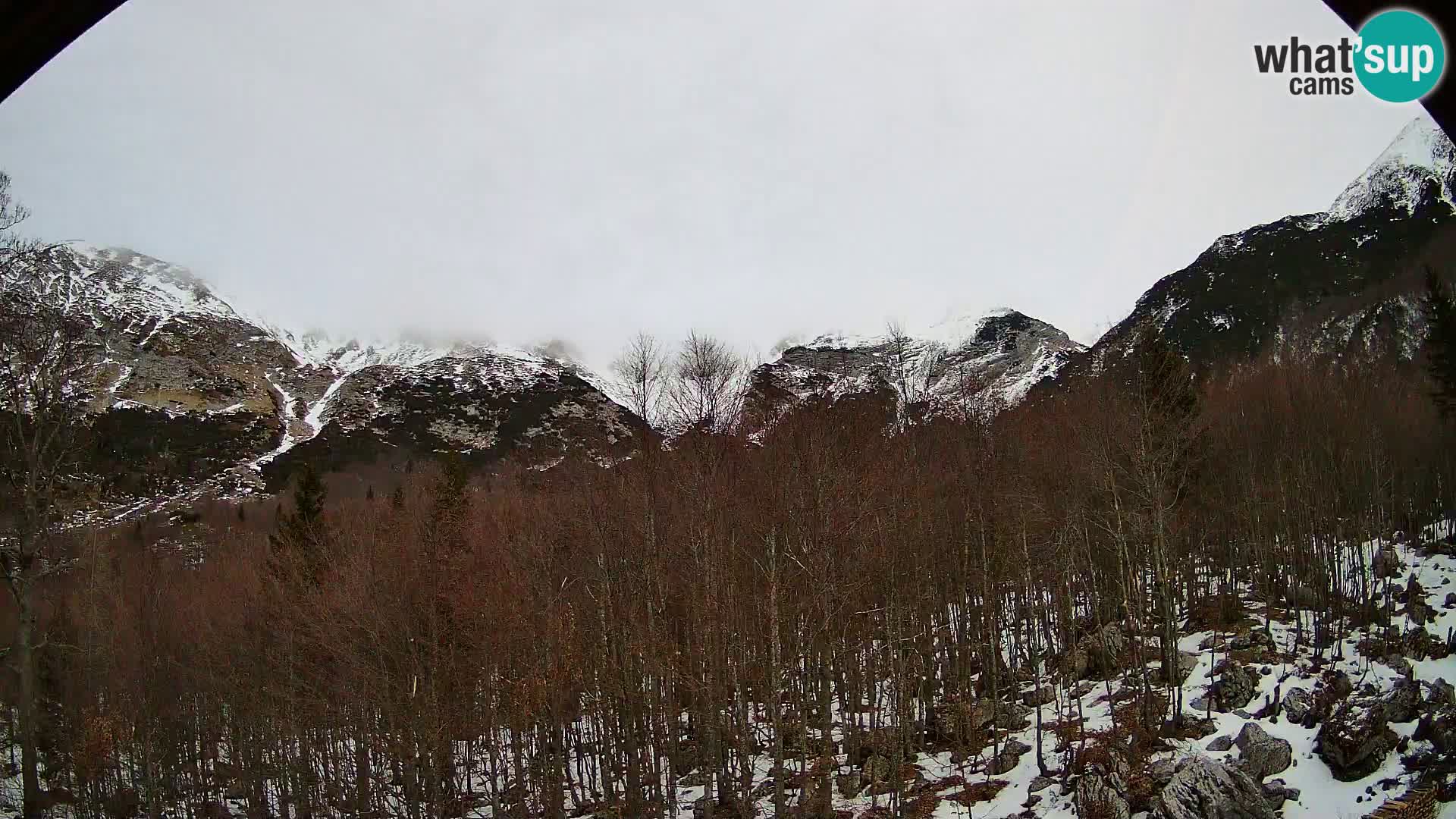 PLANINA RAZOR web kamera (1315) | pogled na Vogel i Globoko