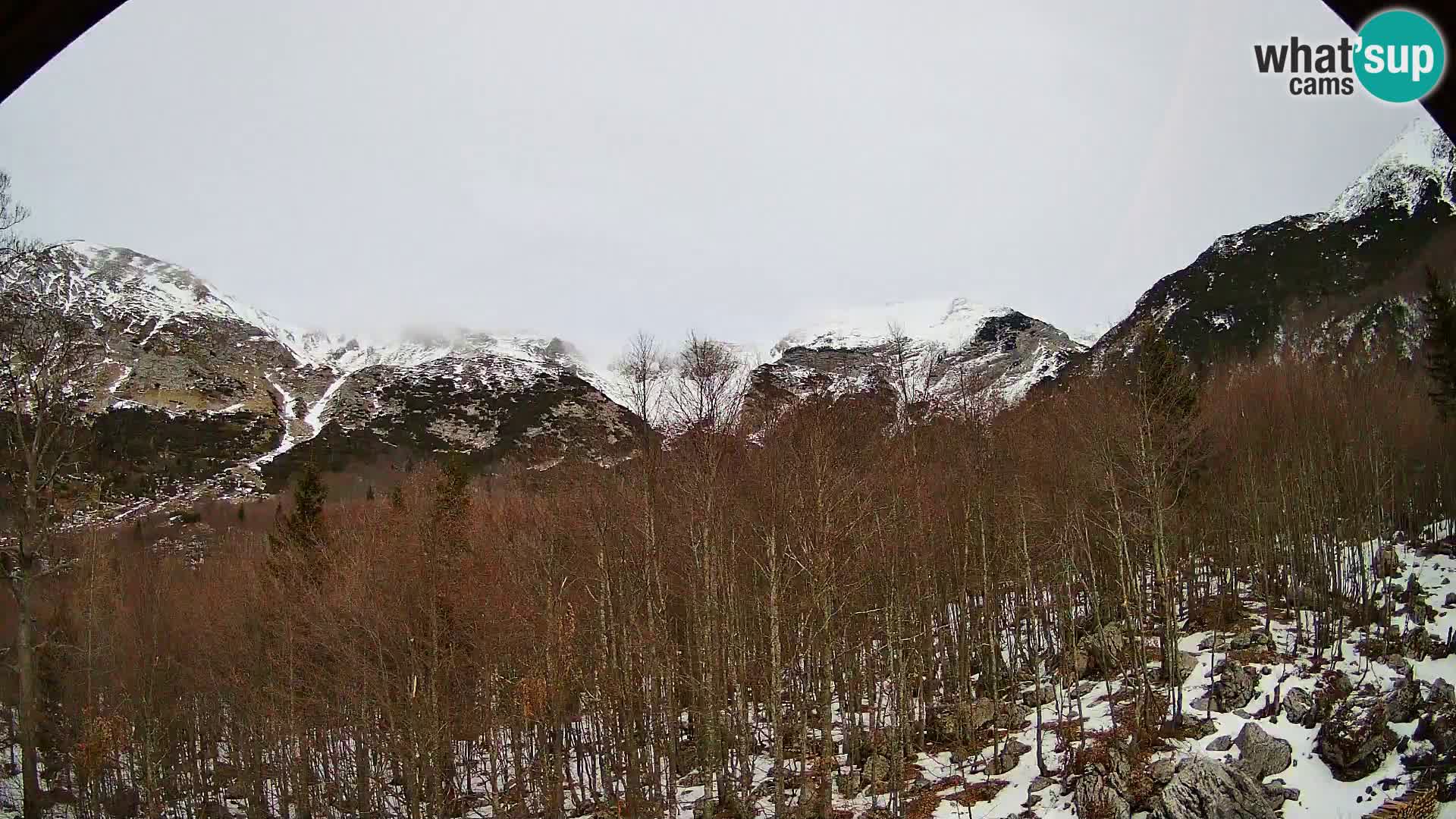 PLANINA RAZOR kamera (1315) | pogled na Vogel in Globoko
