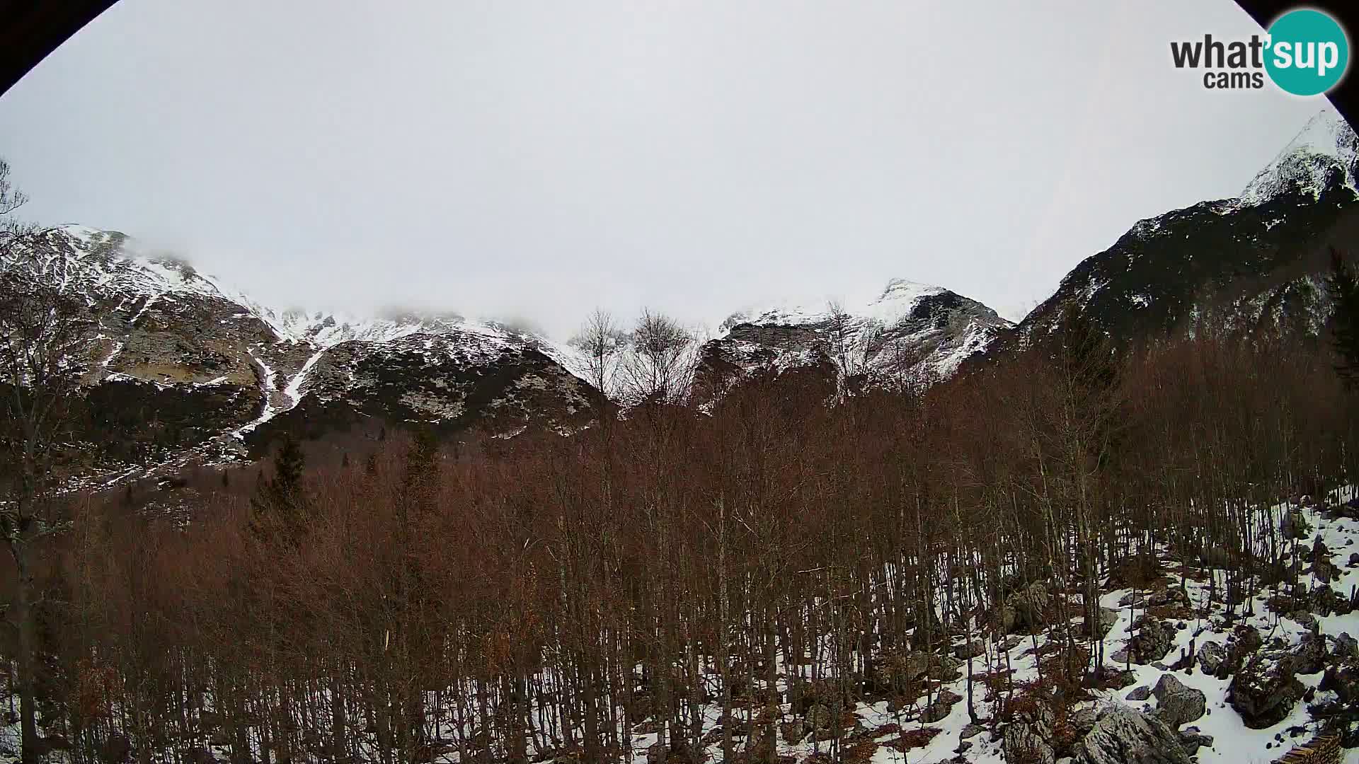 Webcam PLANINA RAZOR (1315) | Blick auf Vogel und Globoko