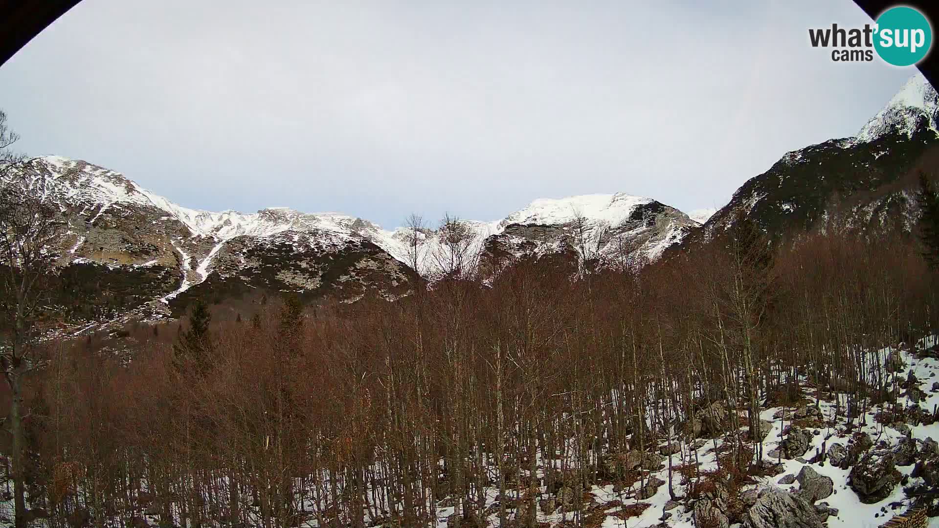 PLANINA RAZOR kamera (1315) | pogled na Vogel in Globoko