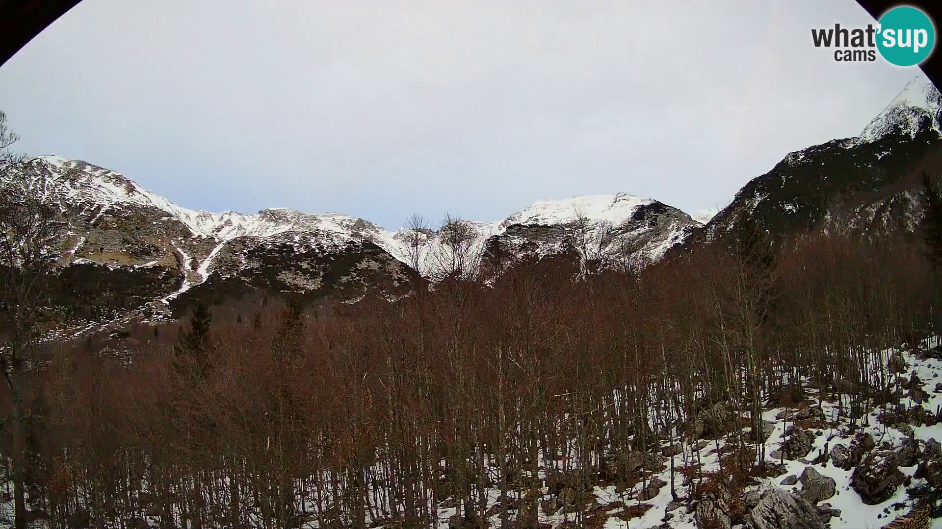 PLANINA RAZOR webcam (1315) | view to Vogel and Globoko