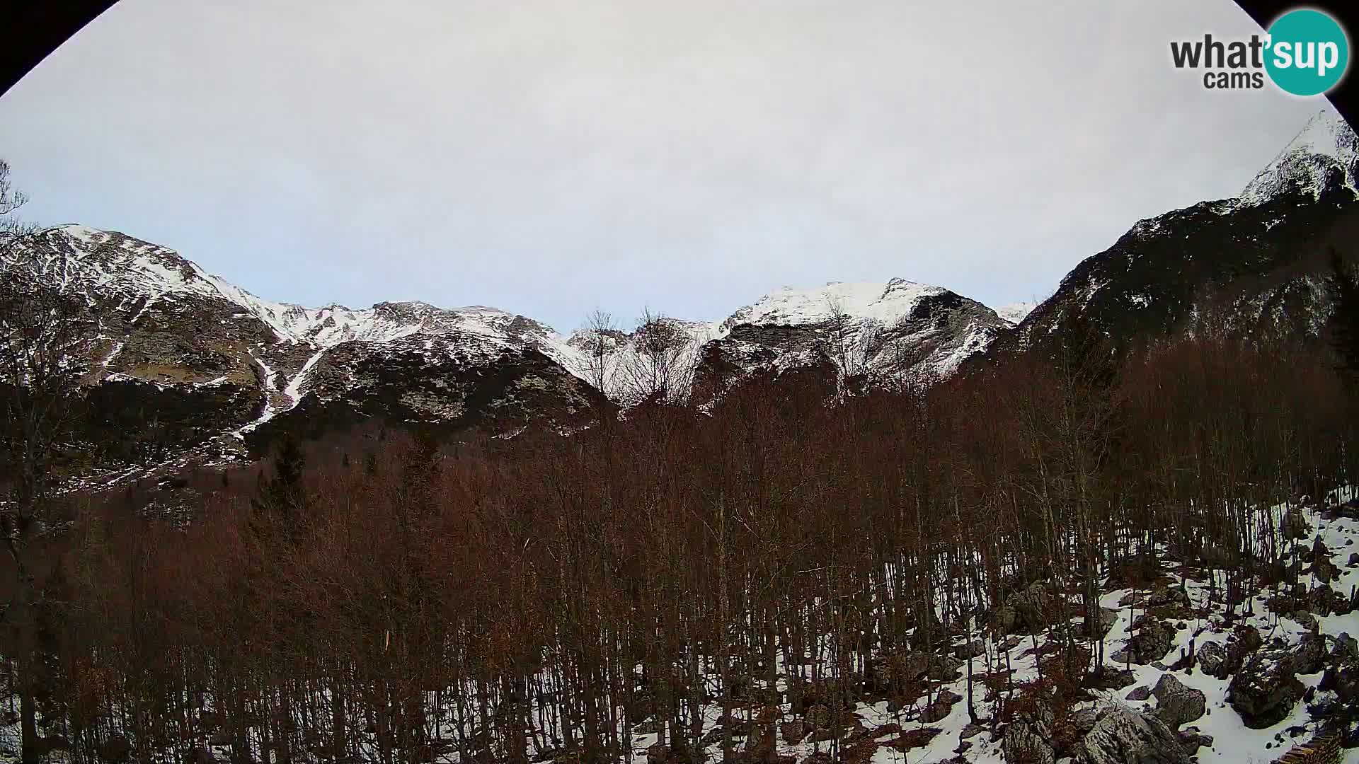 Cámara web PLANINA RAZOR (1315) | vista a Vogel y Globoko