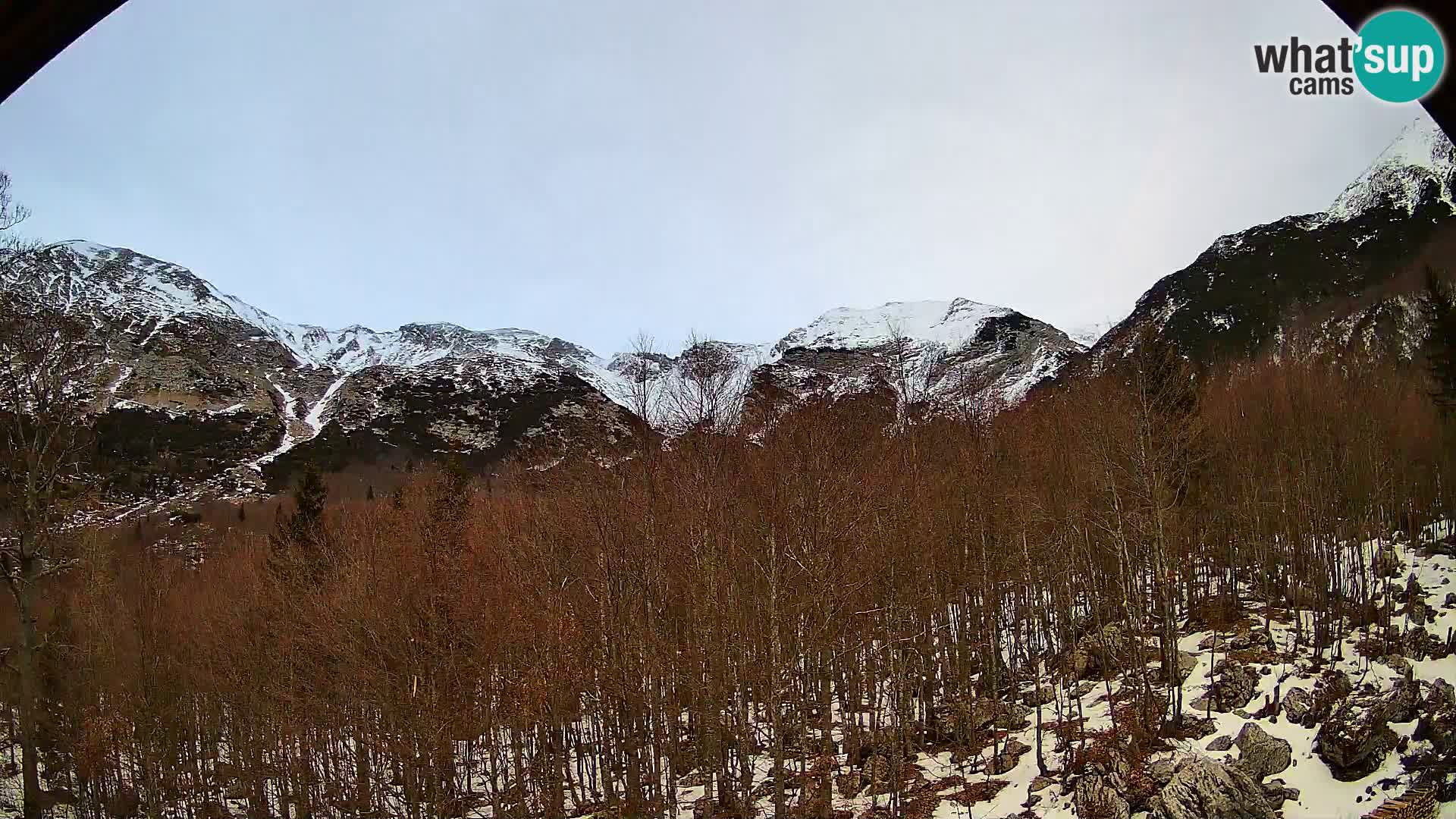 Webcam PLANINA RAZOR (1315) | Blick auf Vogel und Globoko