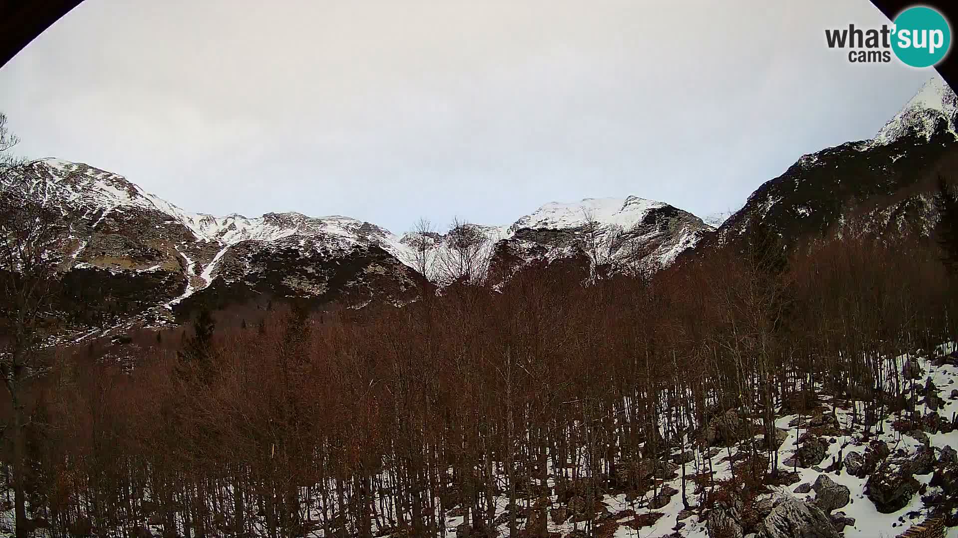 PLANINA RAZOR webcam (1315) | view to Vogel and Globoko