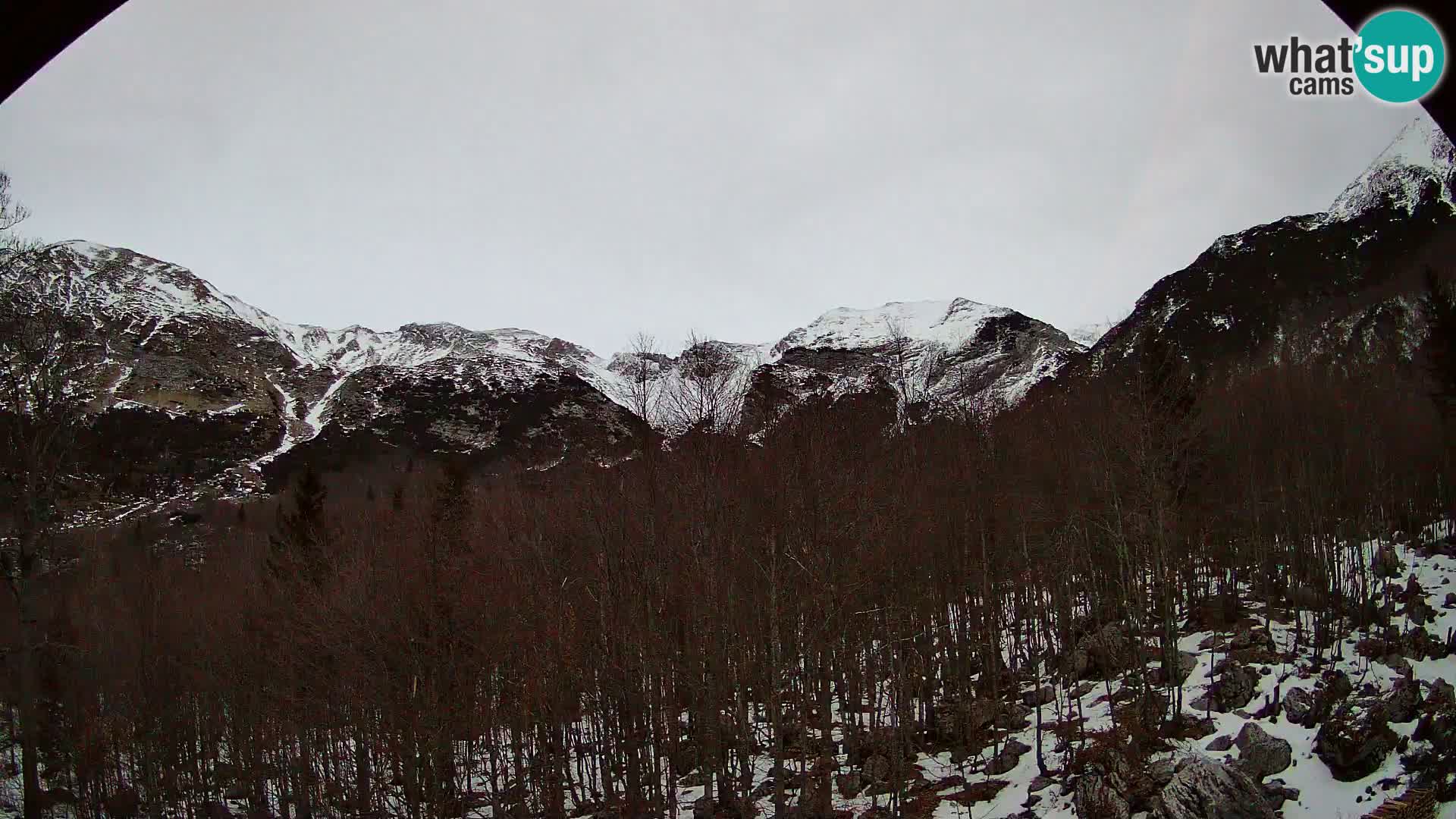 Livecam PLANINA RAZOR (1315) | vue sur Vogel et Globoko
