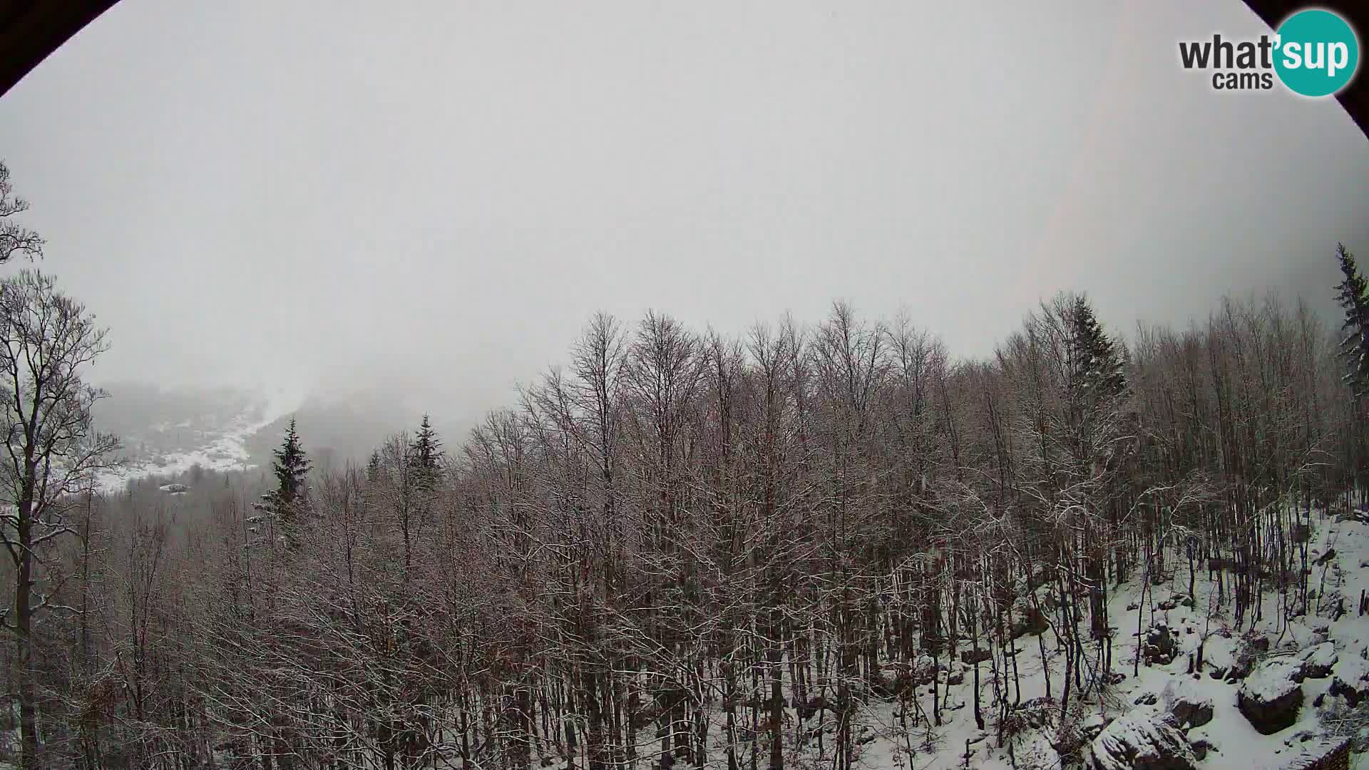 Cámara web PLANINA RAZOR (1315) | vista a Vogel y Globoko