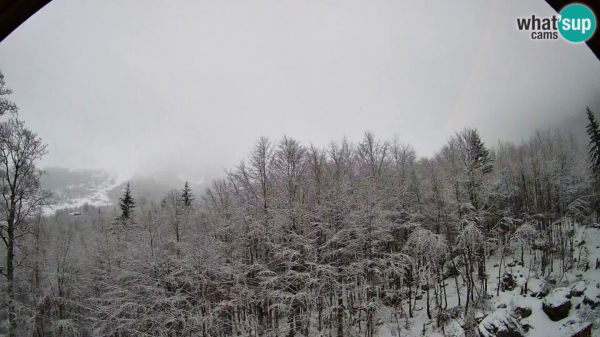 Cámara web PLANINA RAZOR (1315) | vista a Vogel y Globoko