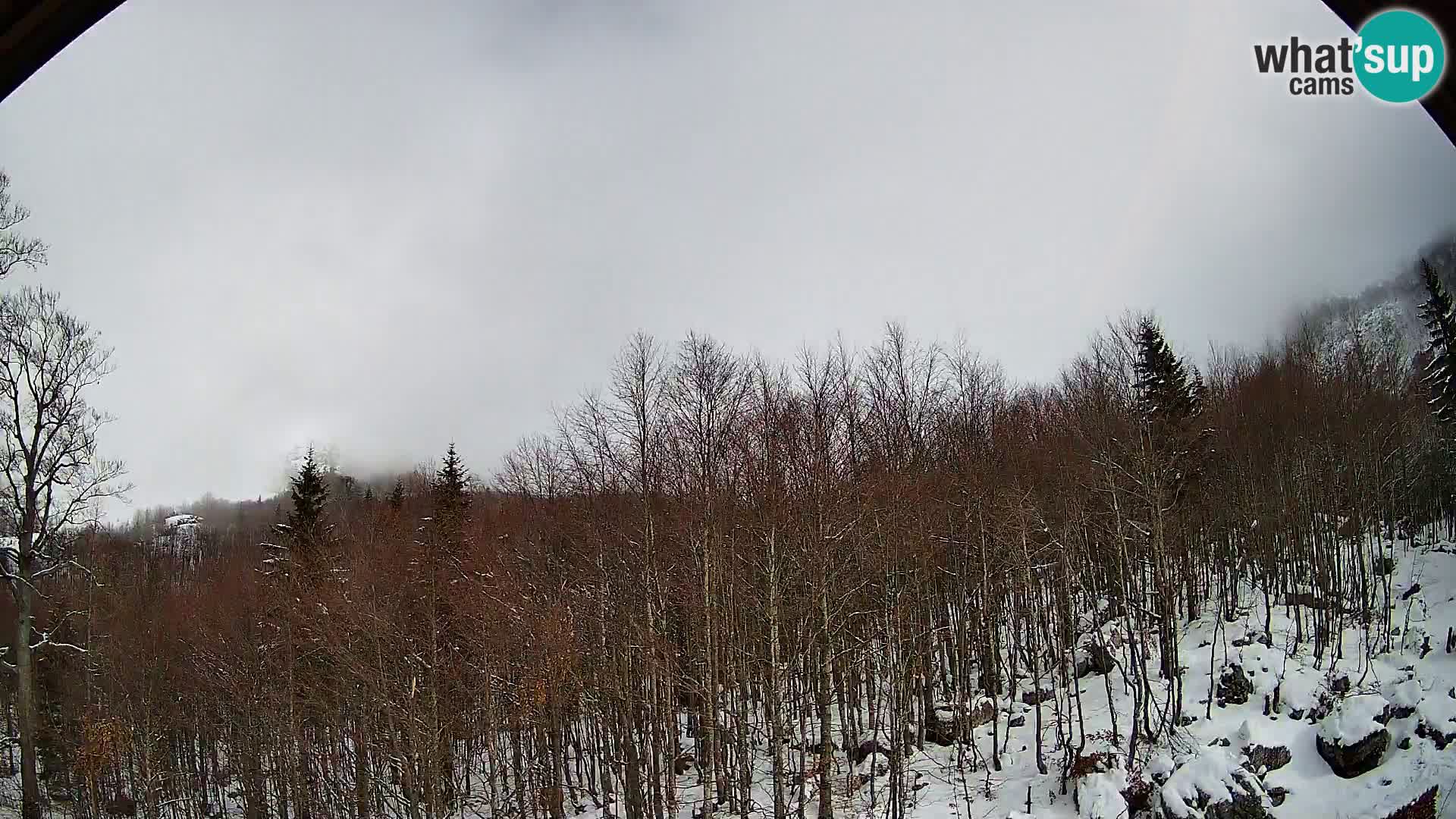 PLANINA RAZOR Live Cam (1315) | vista su Vogel e Globoko