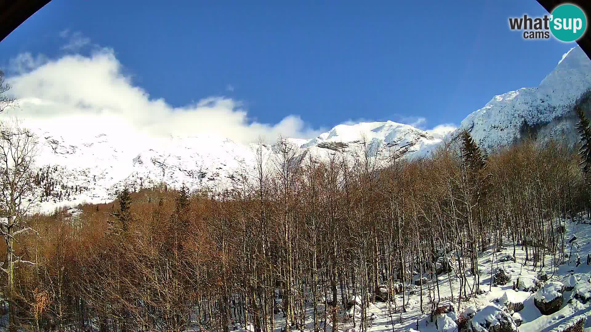 PLANINA RAZOR Live Cam (1315) | vista su Vogel e Globoko