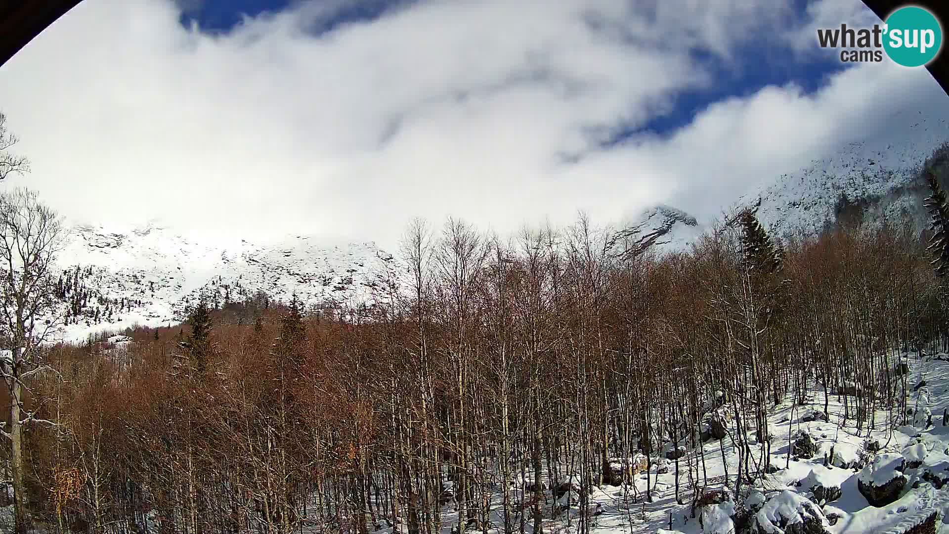 PLANINA RAZOR kamera (1315) | pogled na Vogel in Globoko