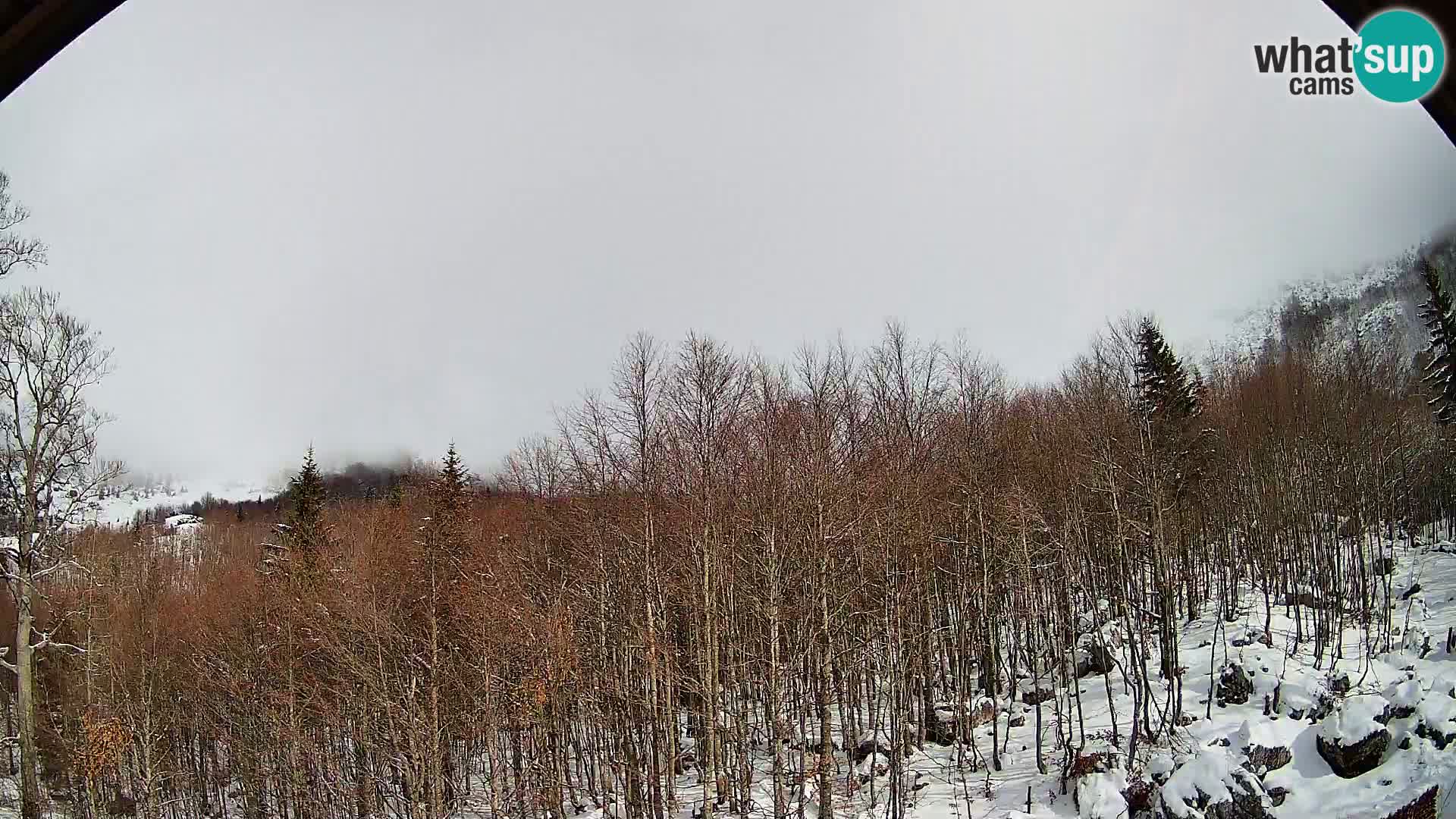 PLANINA RAZOR webcam (1315) | view to Vogel and Globoko