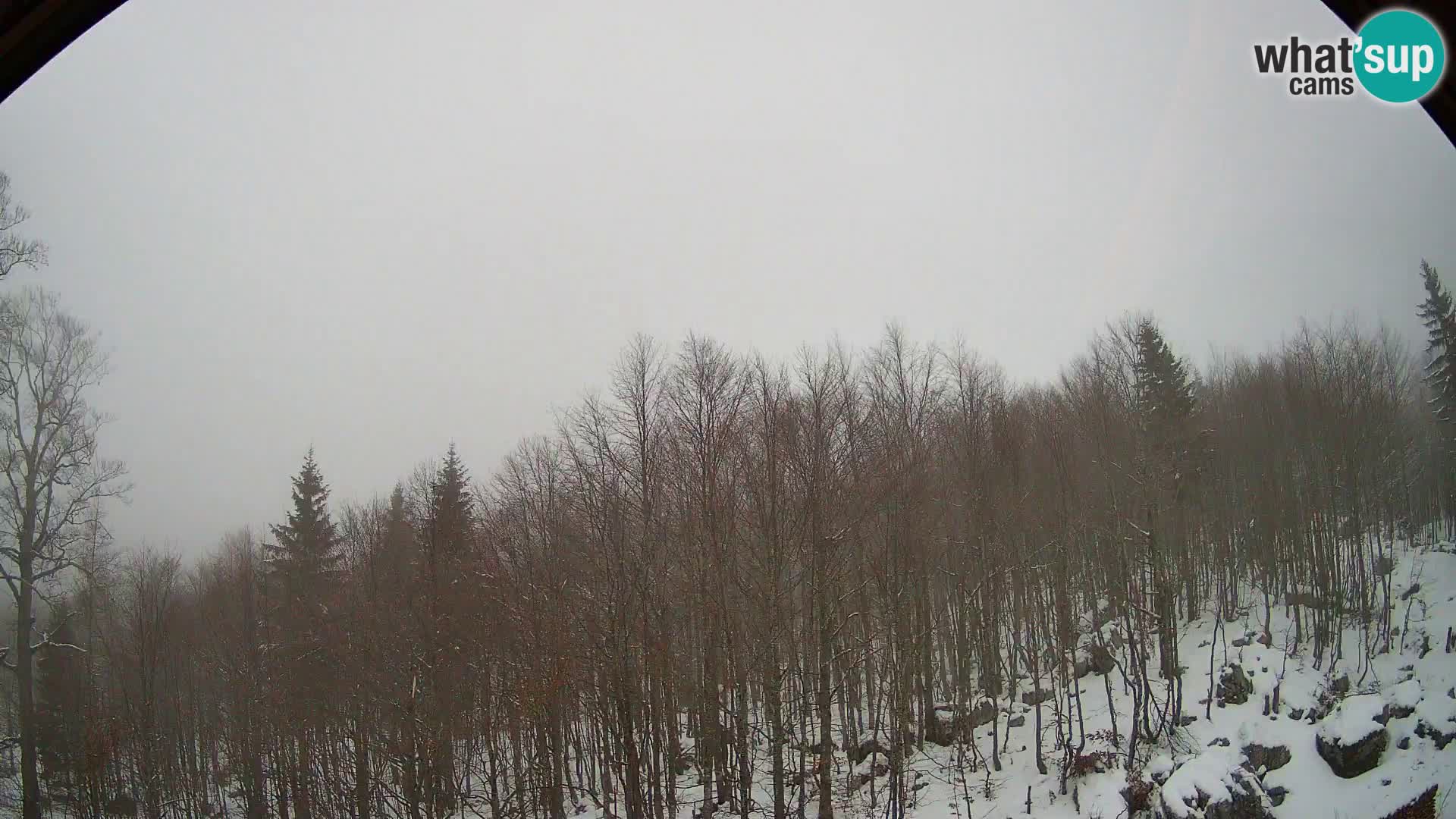 PLANINA RAZOR webcam (1315) | view to Vogel and Globoko
