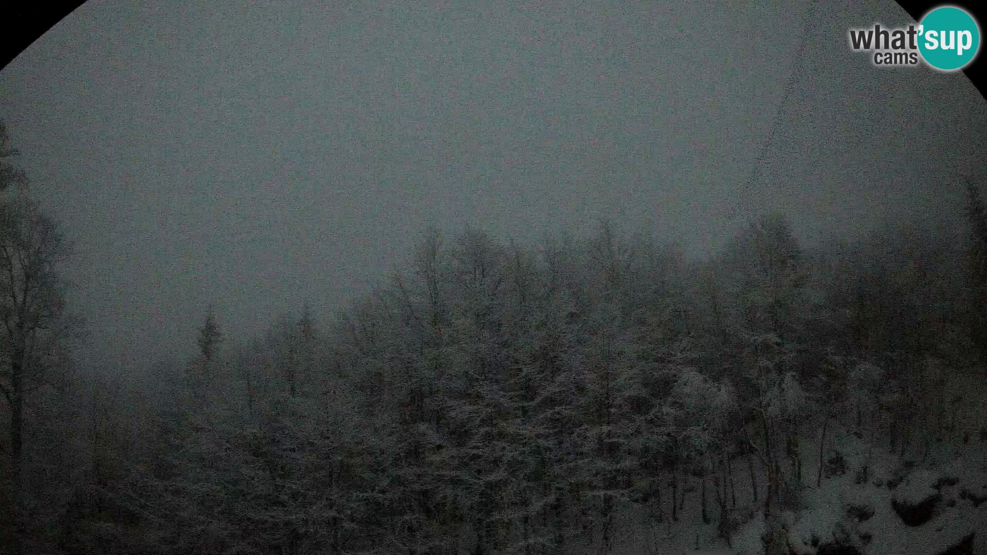 PLANINA RAZOR webcam (1315) | view to Vogel and Globoko