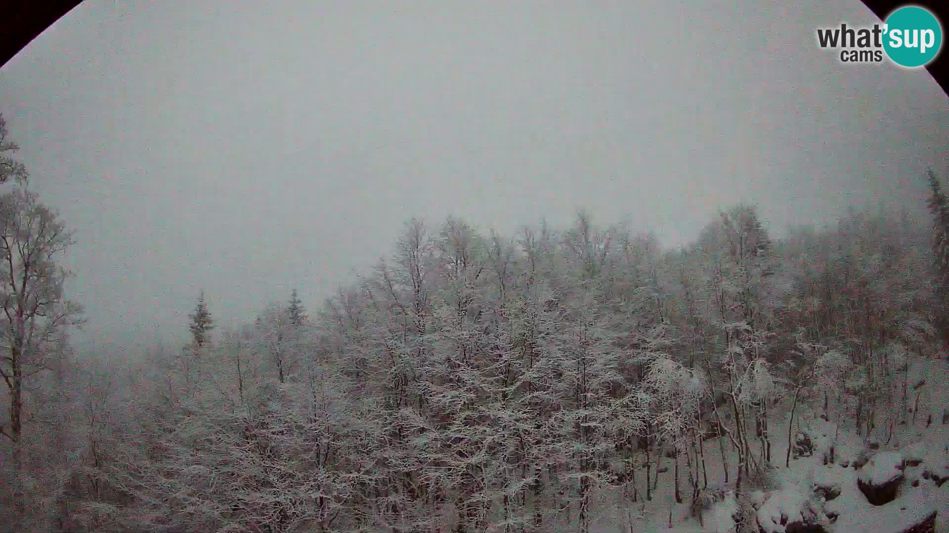 PLANINA RAZOR Live Cam (1315) | vista su Vogel e Globoko