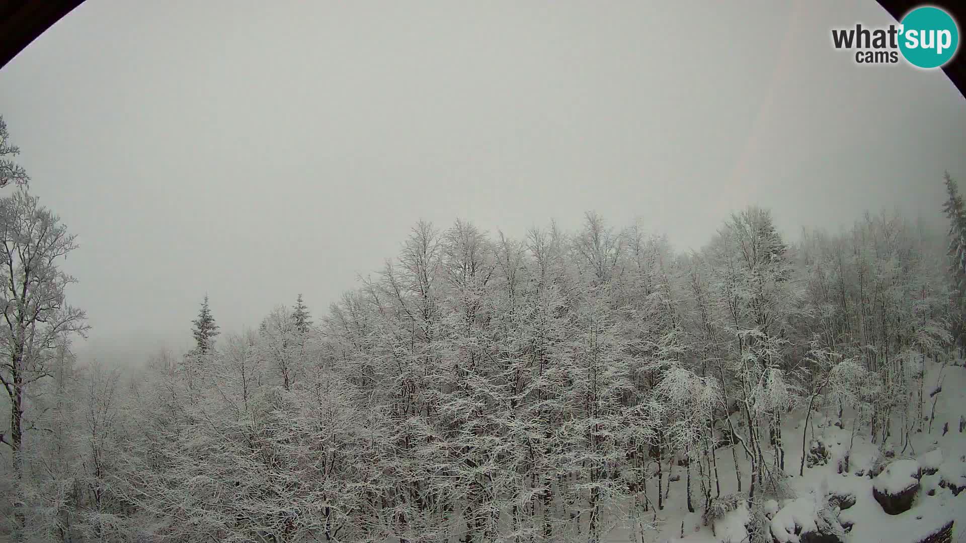 PLANINA RAZOR webcam (1315) | view to Vogel and Globoko