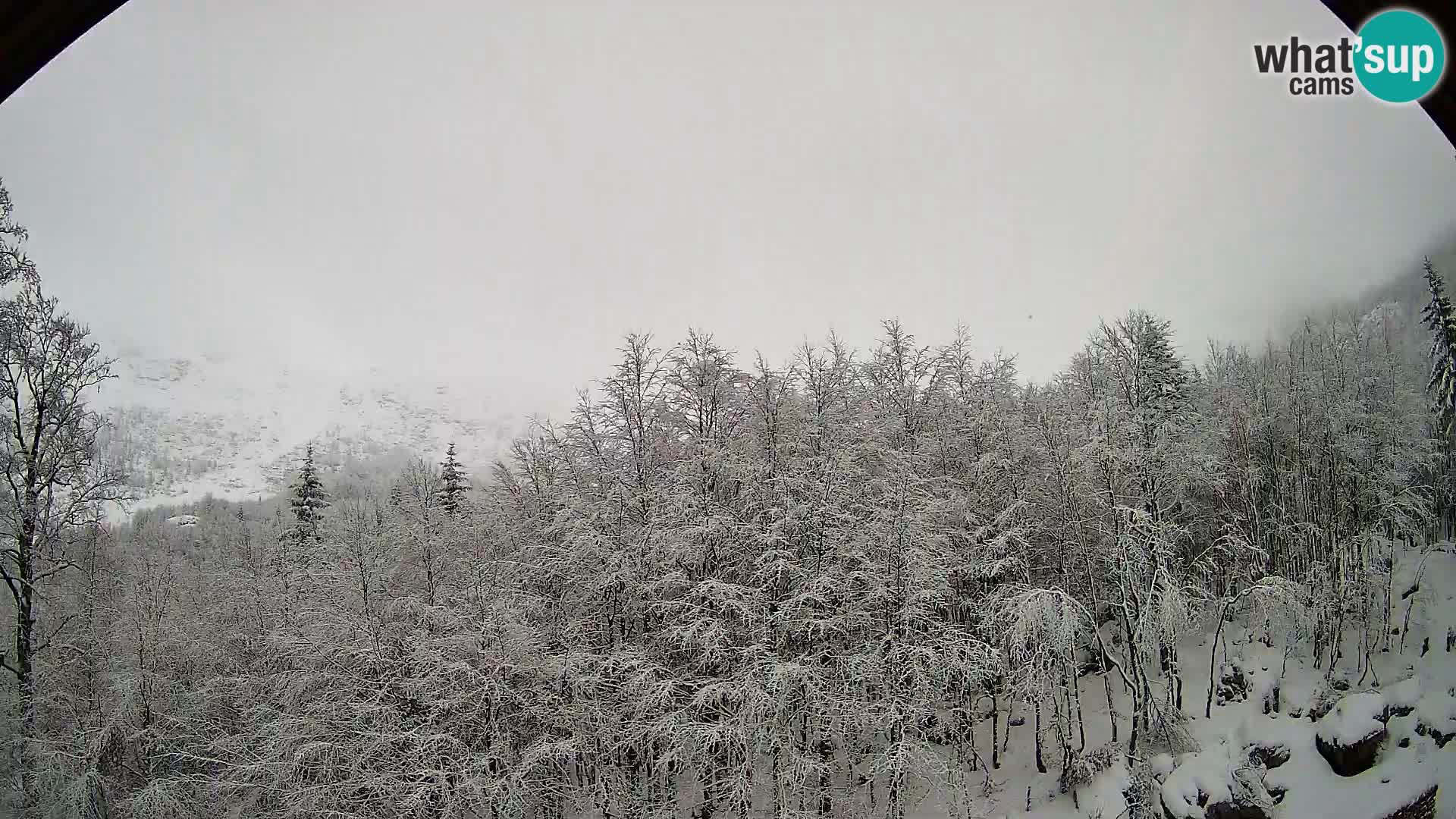 PLANINA RAZOR kamera (1315) | pogled na Vogel in Globoko