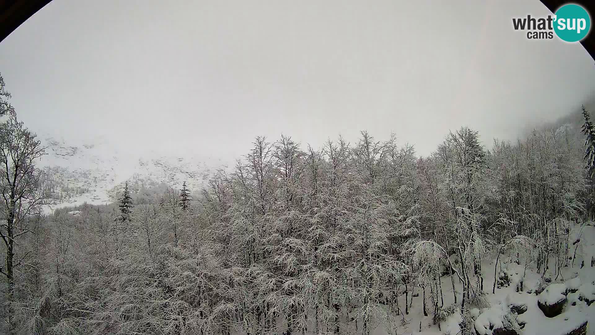 PLANINA RAZOR kamera (1315) | pogled na Vogel in Globoko