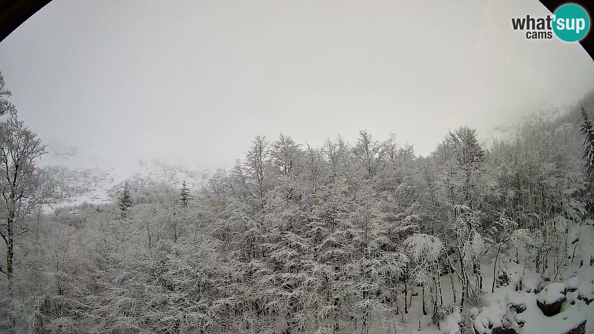 PLANINA RAZOR Live Cam (1315) | vista su Vogel e Globoko