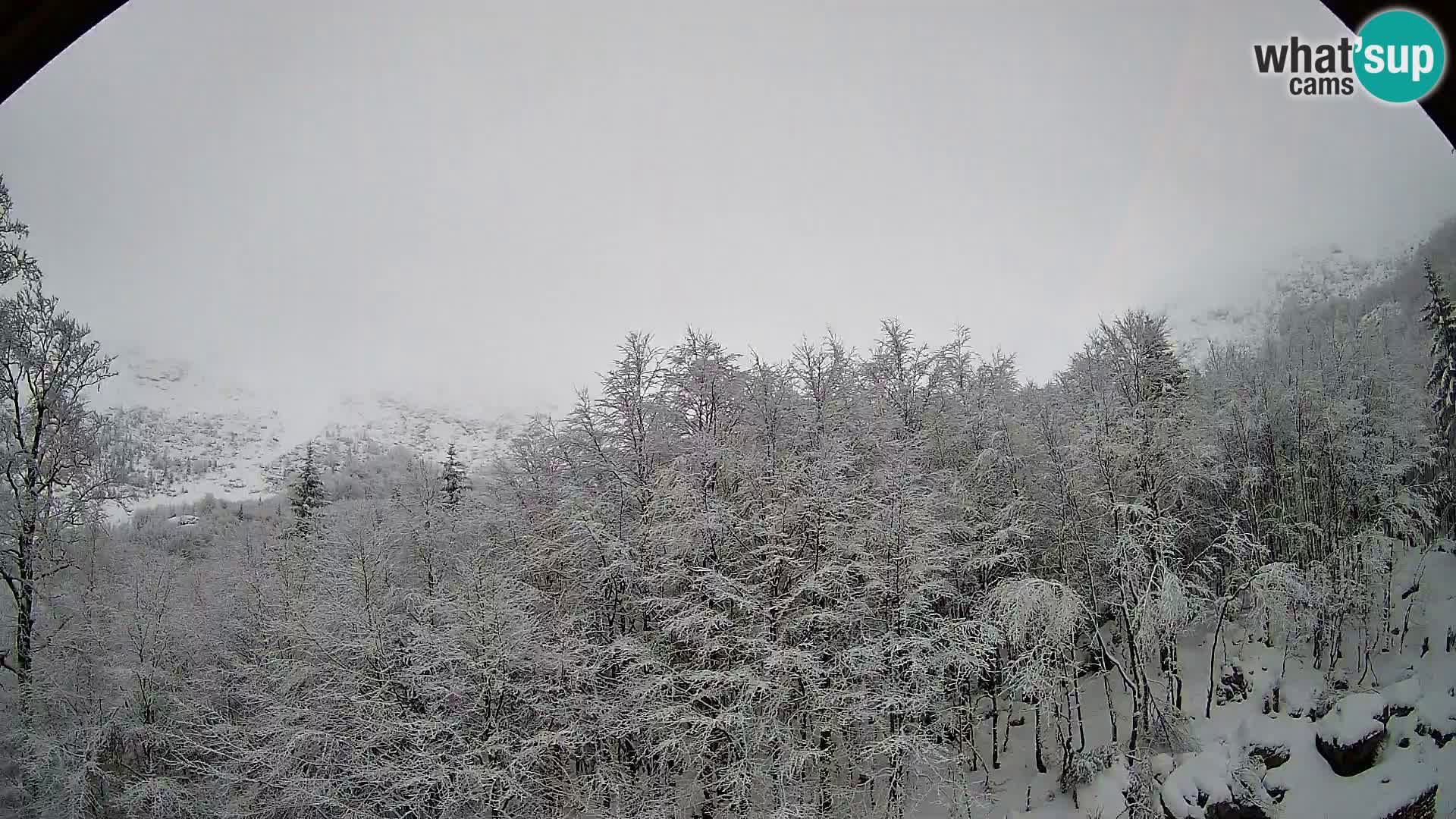 PLANINA RAZOR Live Cam (1315) | vista su Vogel e Globoko
