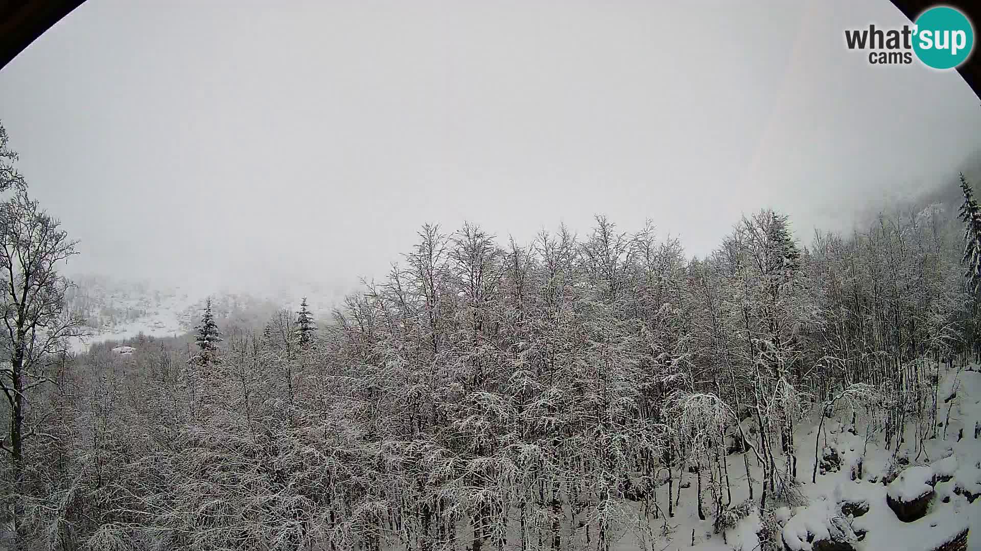 PLANINA RAZOR webcam (1315) | view to Vogel and Globoko