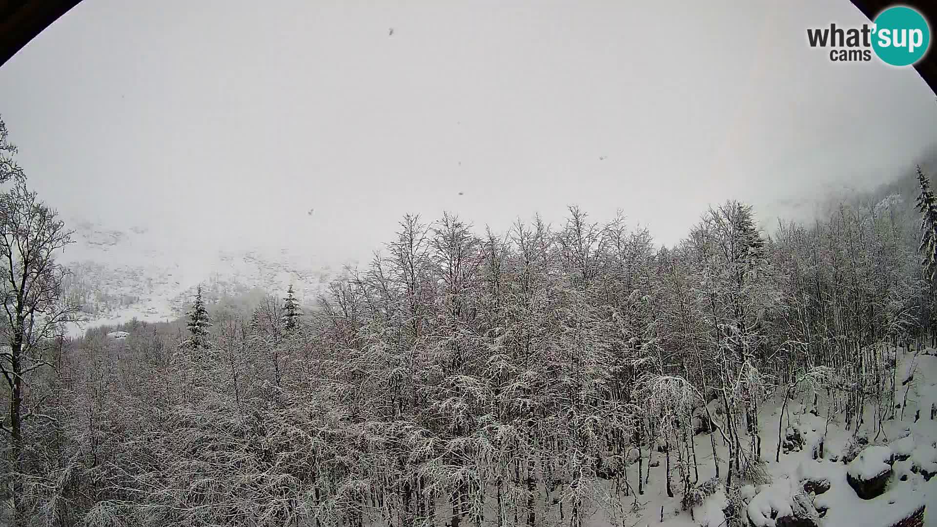 PLANINA RAZOR webcam (1315) | view to Vogel and Globoko