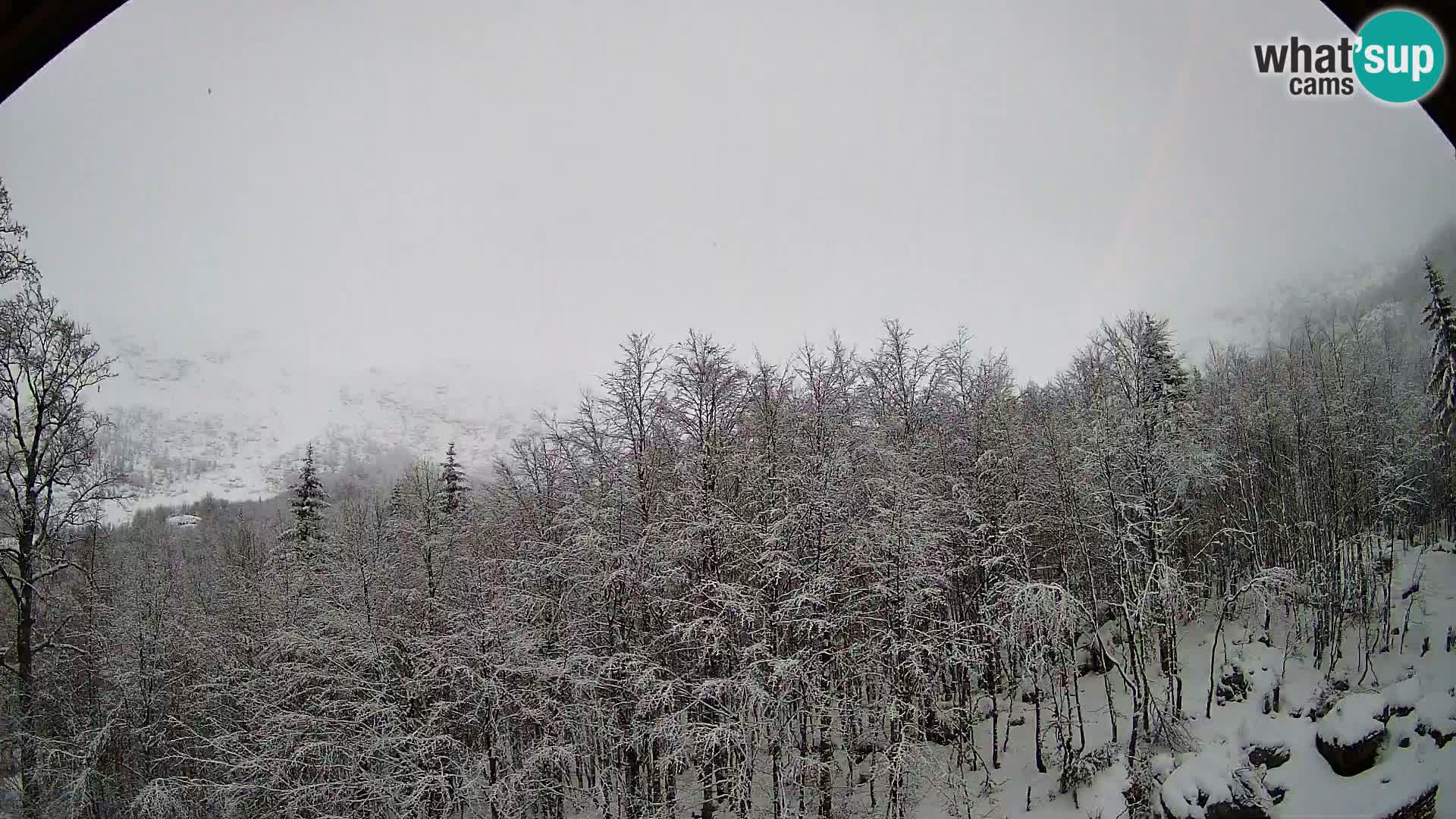 PLANINA RAZOR webcam (1315) | view to Vogel and Globoko