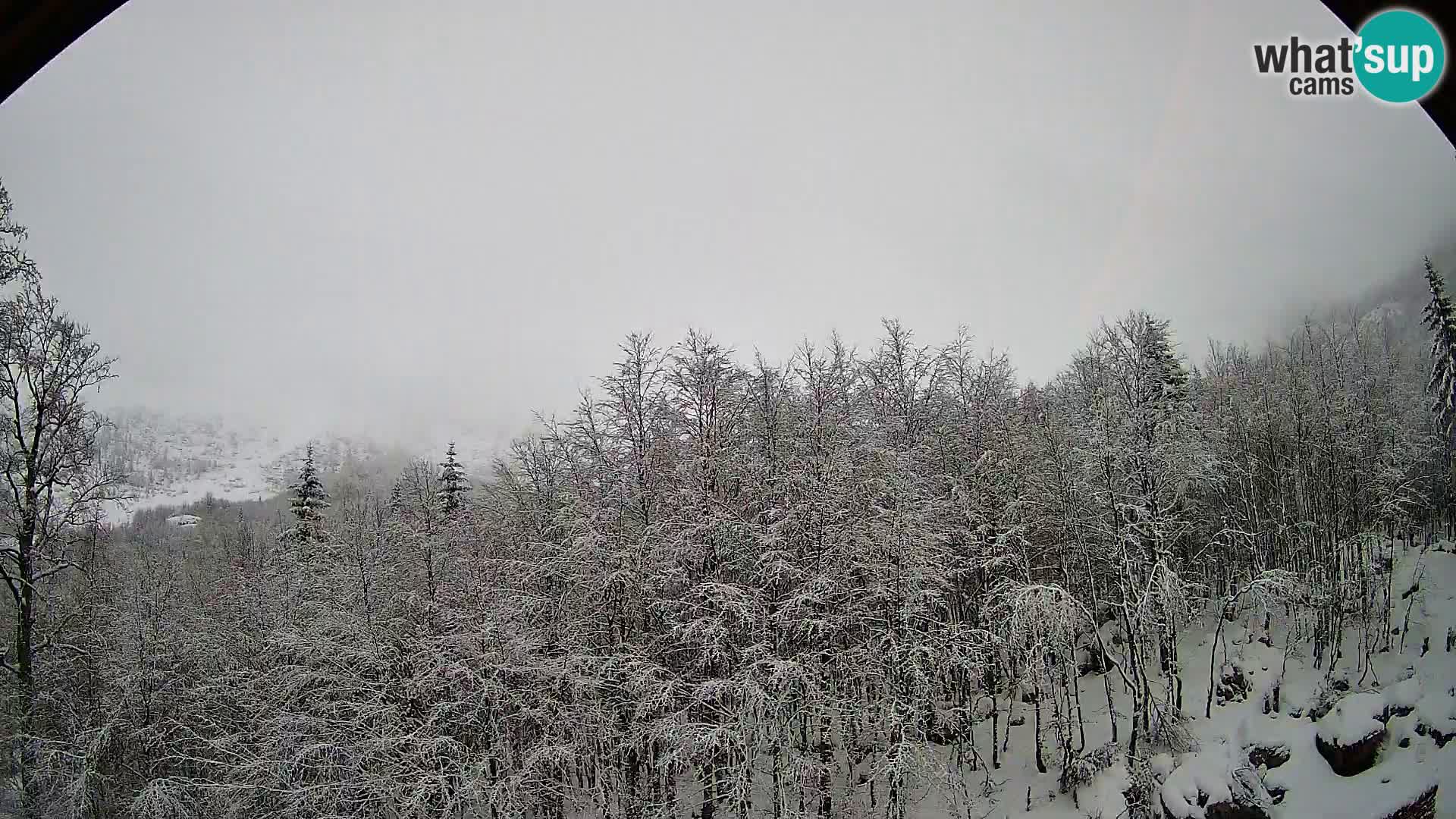 PLANINA RAZOR webcam (1315) | view to Vogel and Globoko