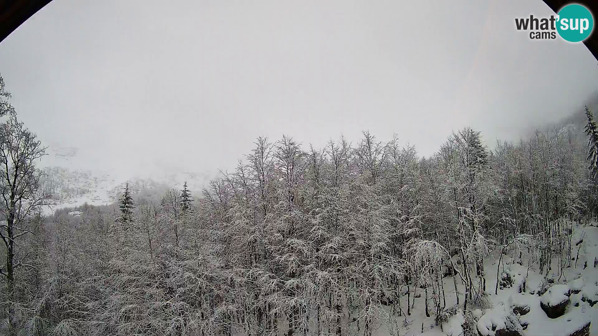 PLANINA RAZOR webcam (1315) | view to Vogel and Globoko