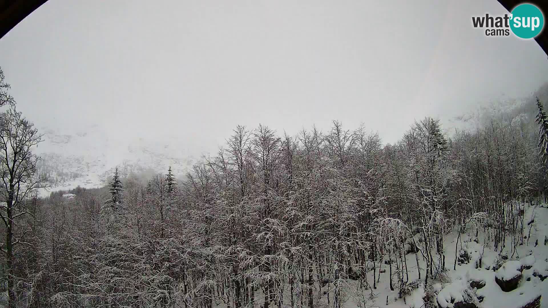 PLANINA RAZOR kamera (1315) | pogled na Vogel in Globoko