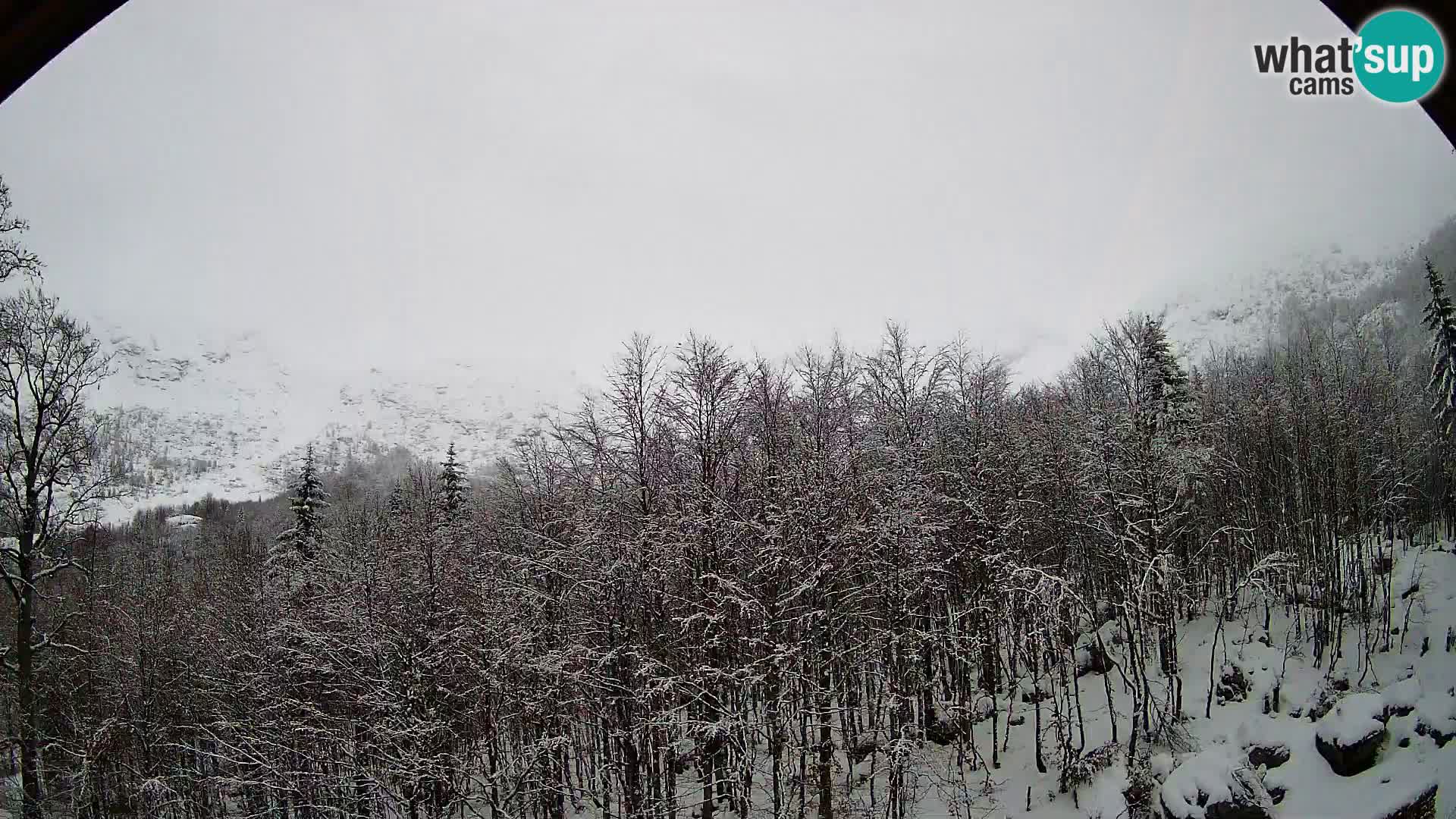 PLANINA RAZOR kamera (1315) | pogled na Vogel in Globoko