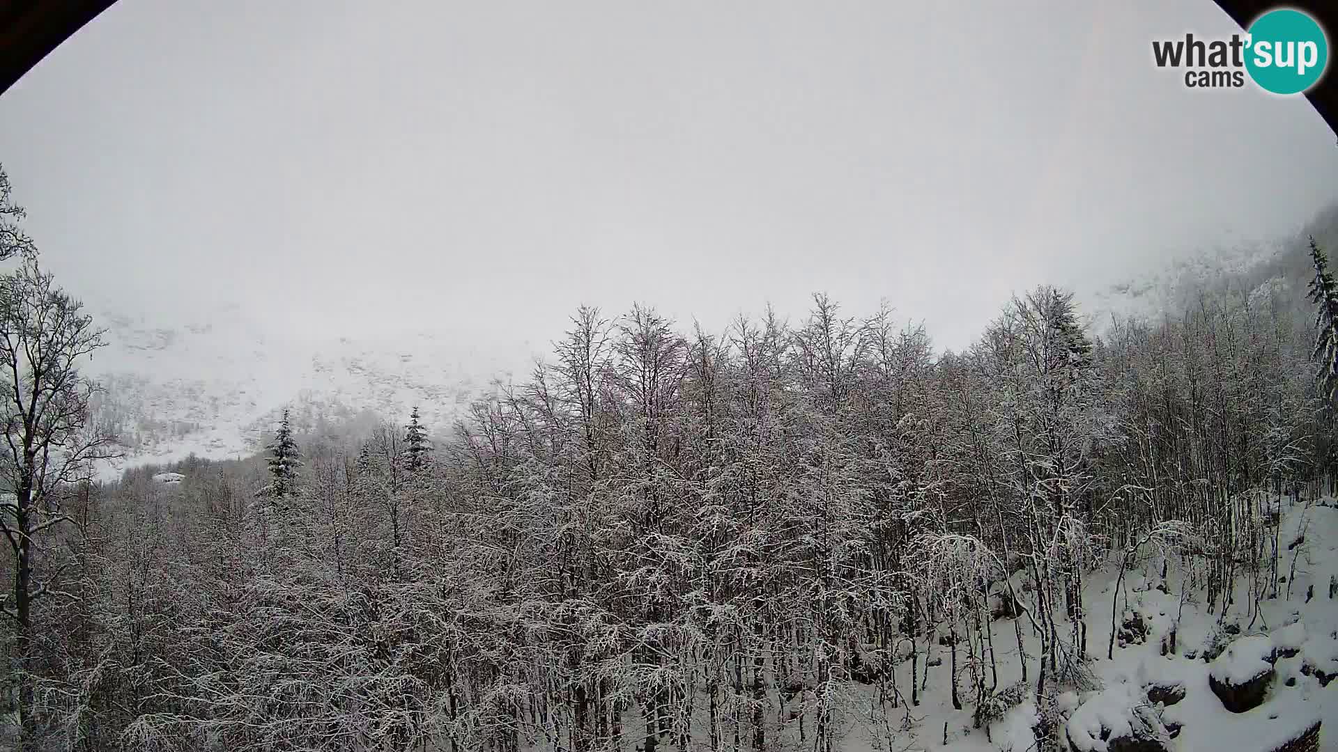 PLANINA RAZOR webcam (1315) | view to Vogel and Globoko