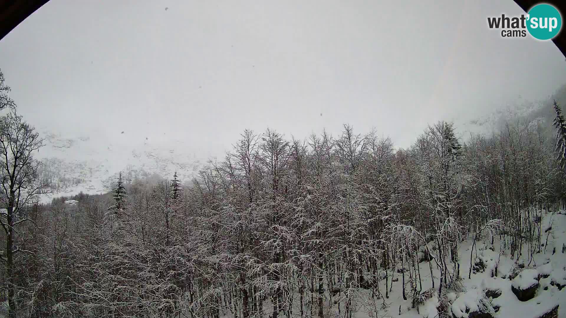 Cámara web PLANINA RAZOR (1315) | vista a Vogel y Globoko