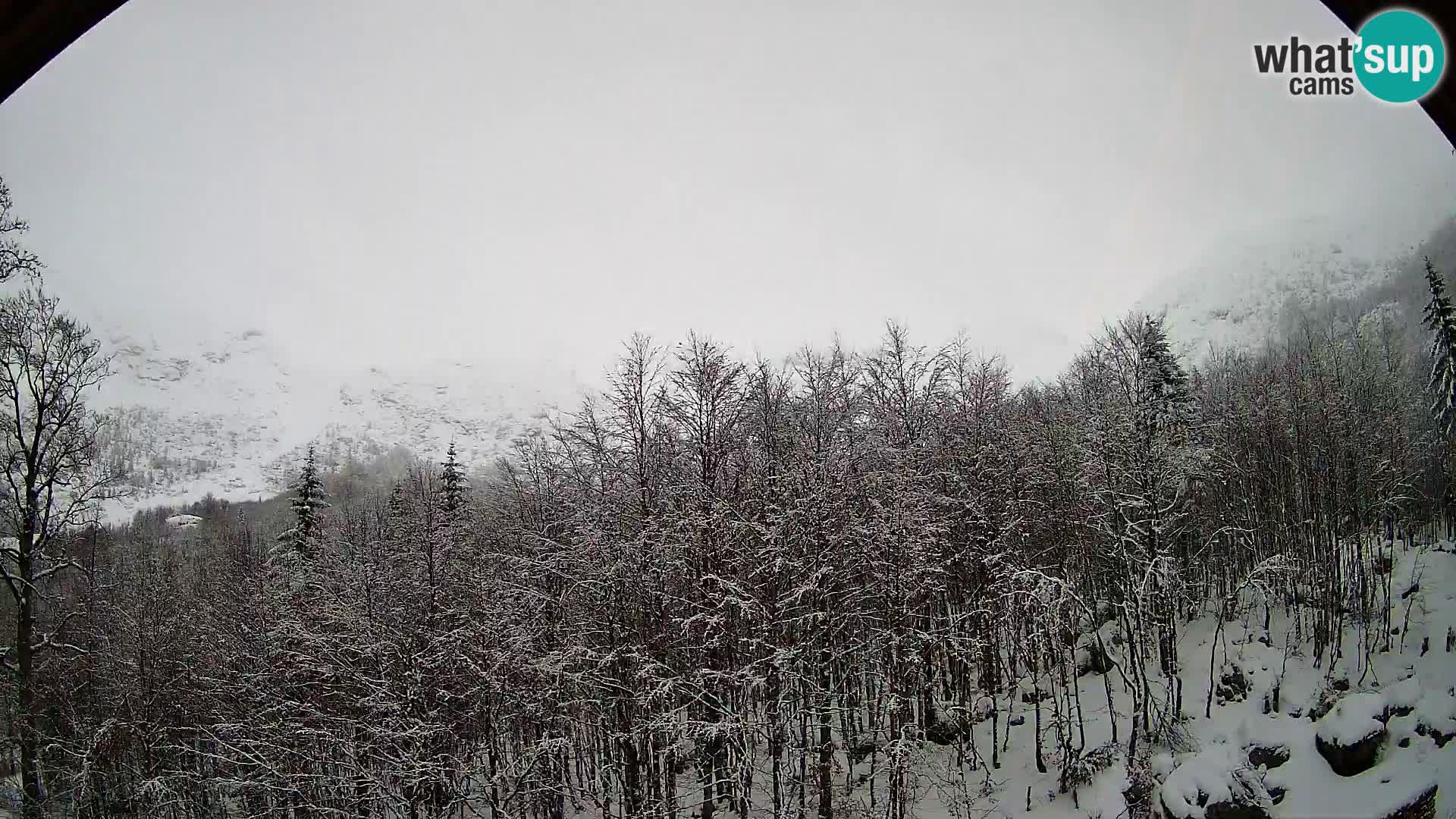 PLANINA RAZOR web kamera (1315) | pogled na Vogel i Globoko