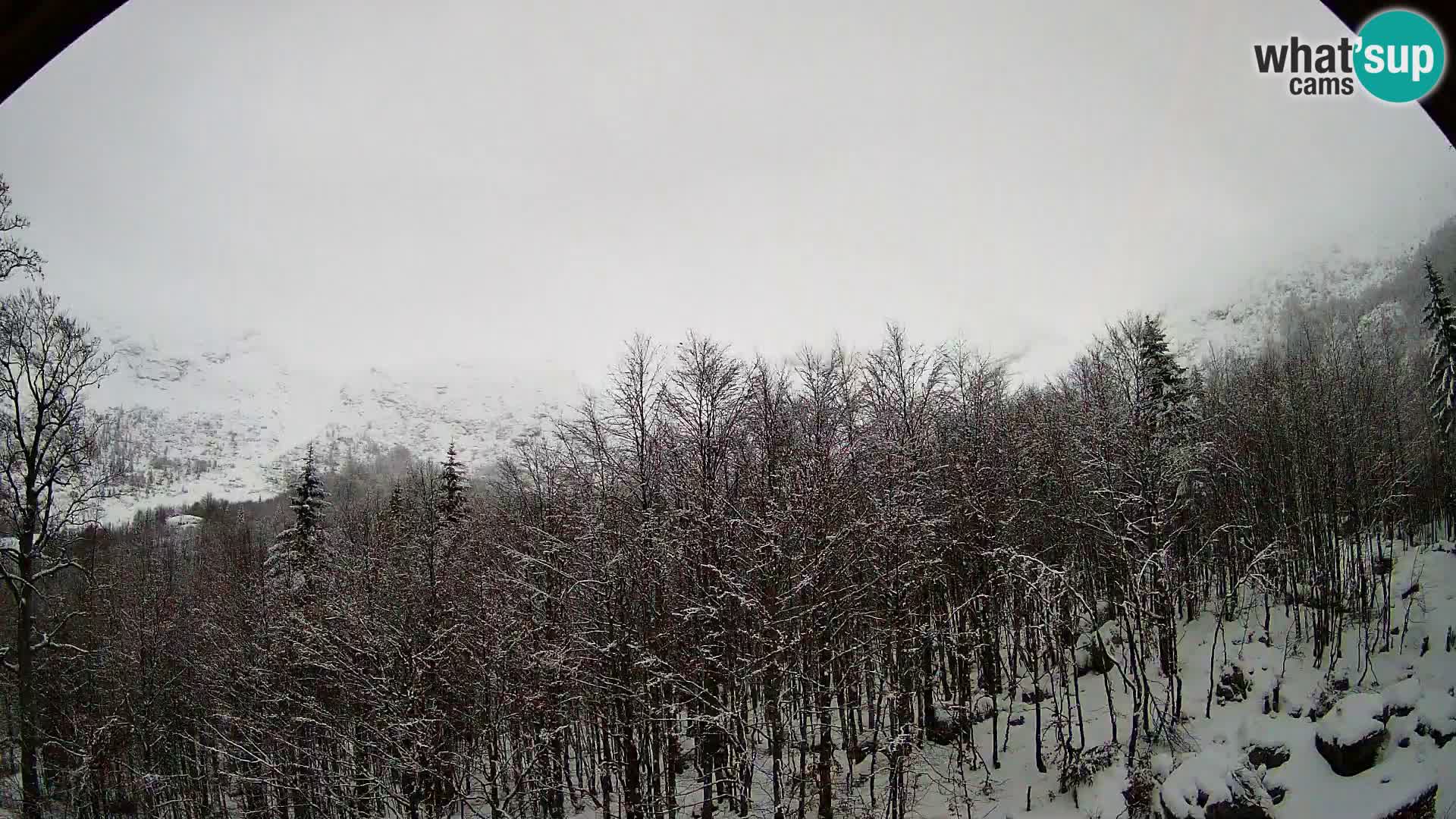 PLANINA RAZOR Live Cam (1315) | vista su Vogel e Globoko